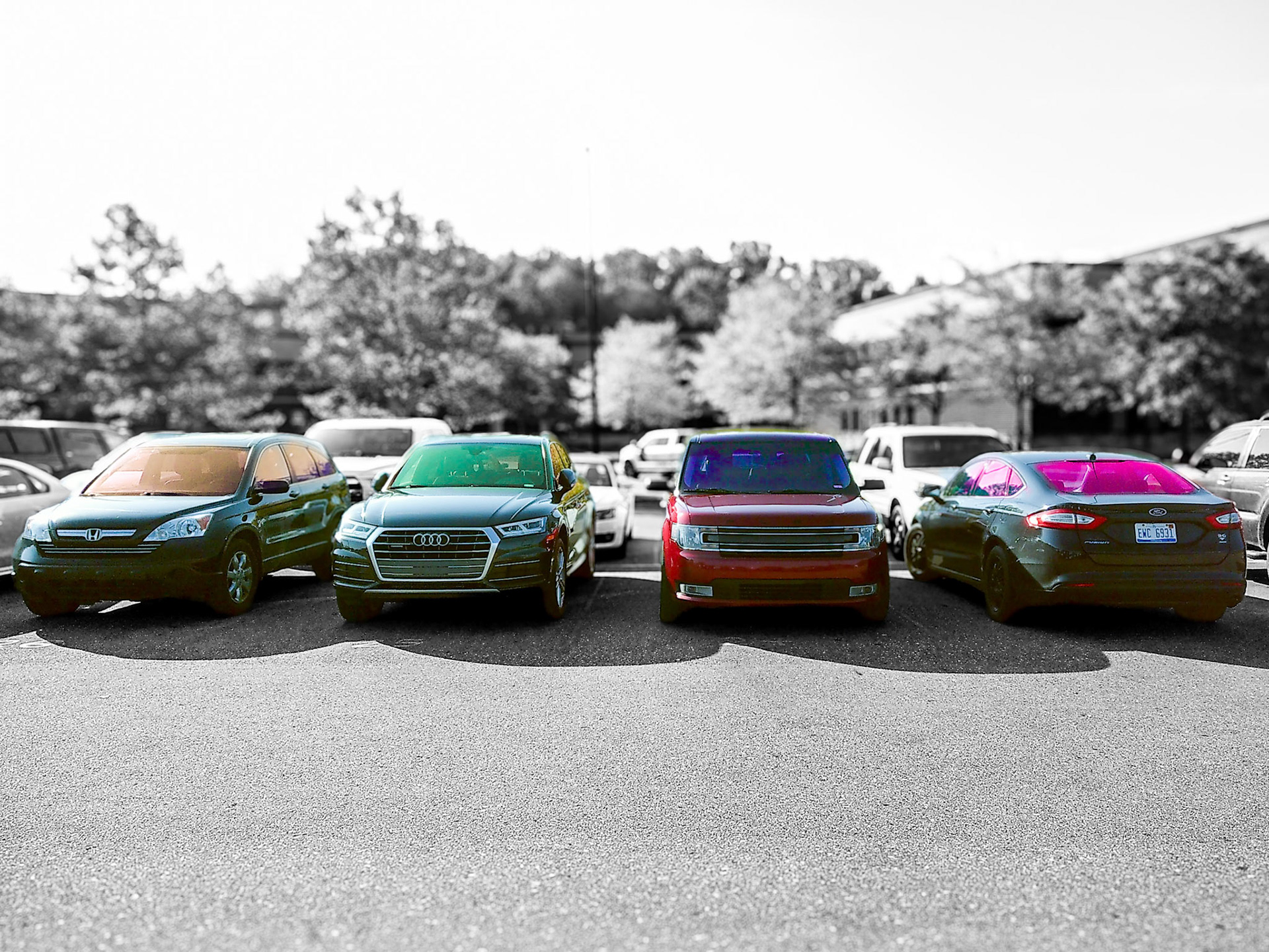 (Photo by Jagger Burnes)