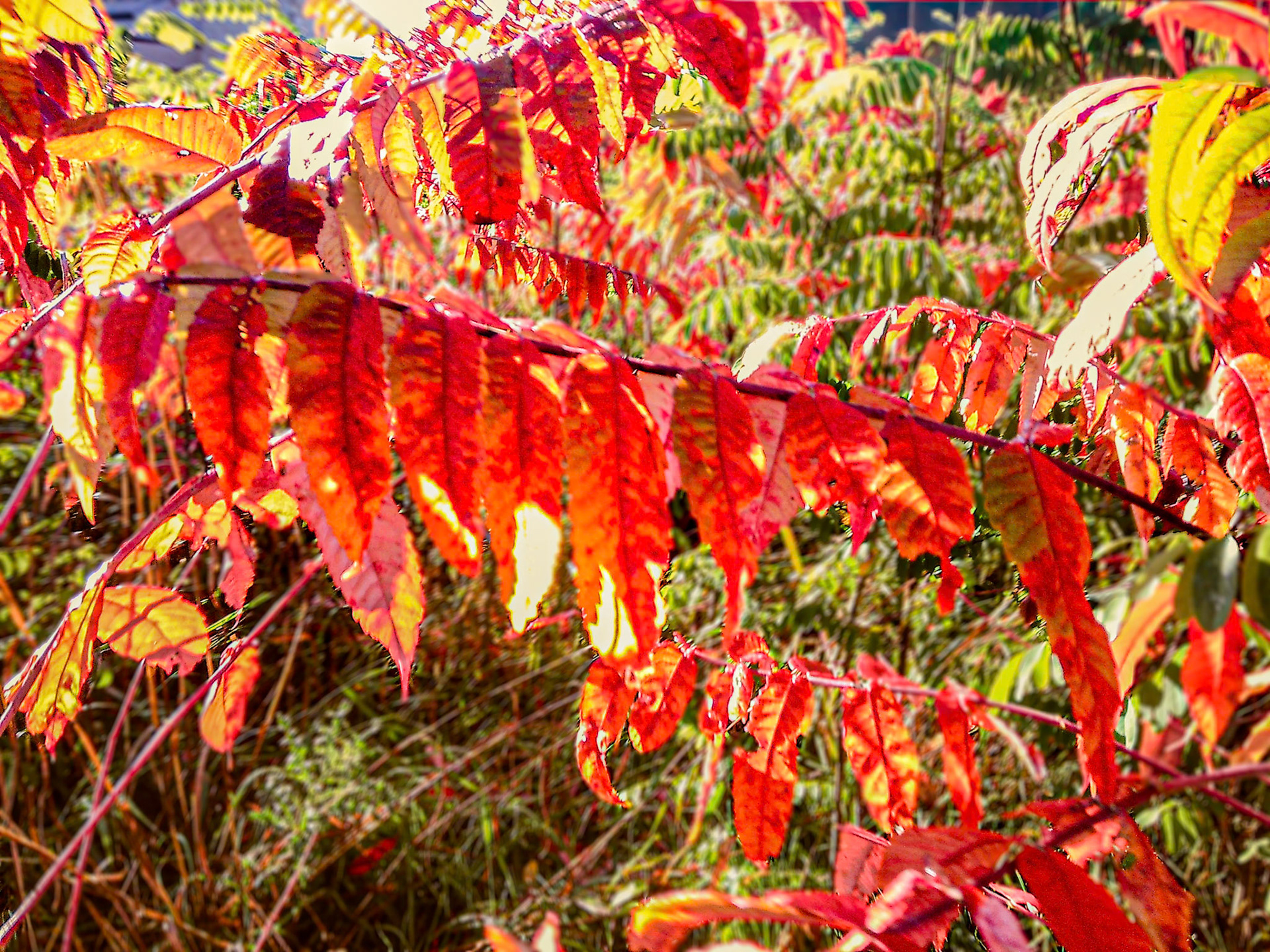 (Photo by Jagger Burnes)