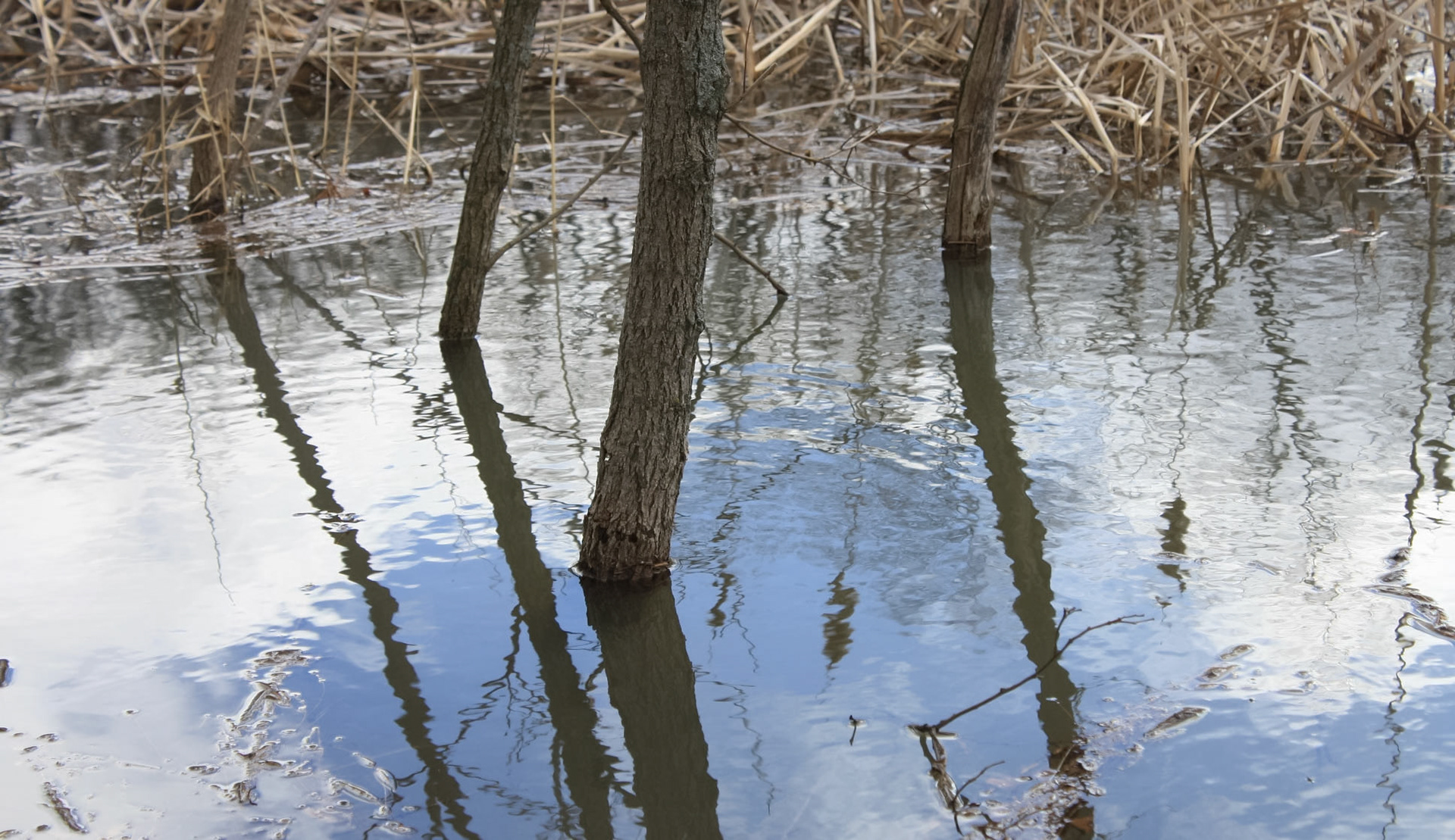 (Photo by Leonie Floetotto)