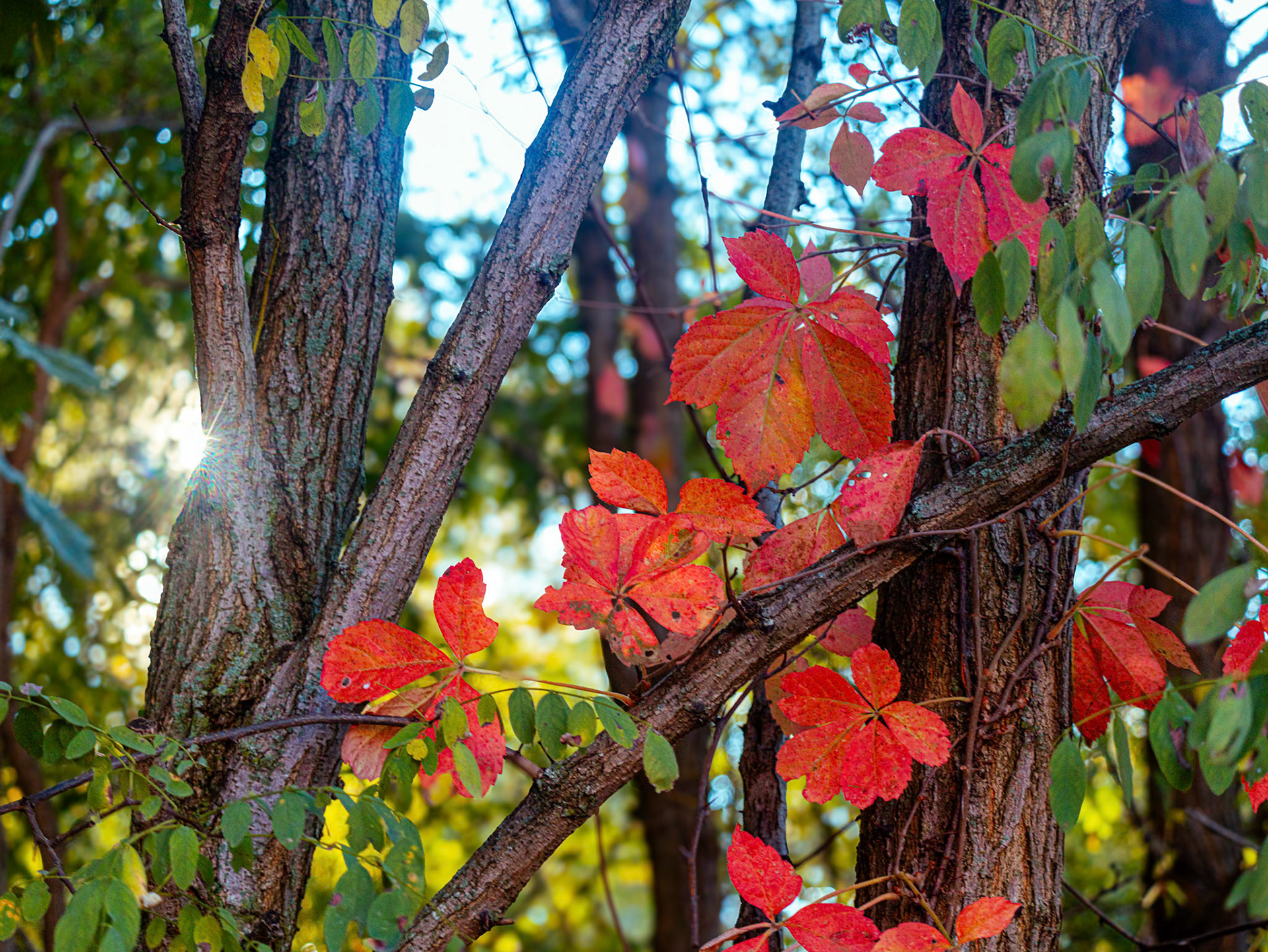 (Photo by Hunter Creguer)