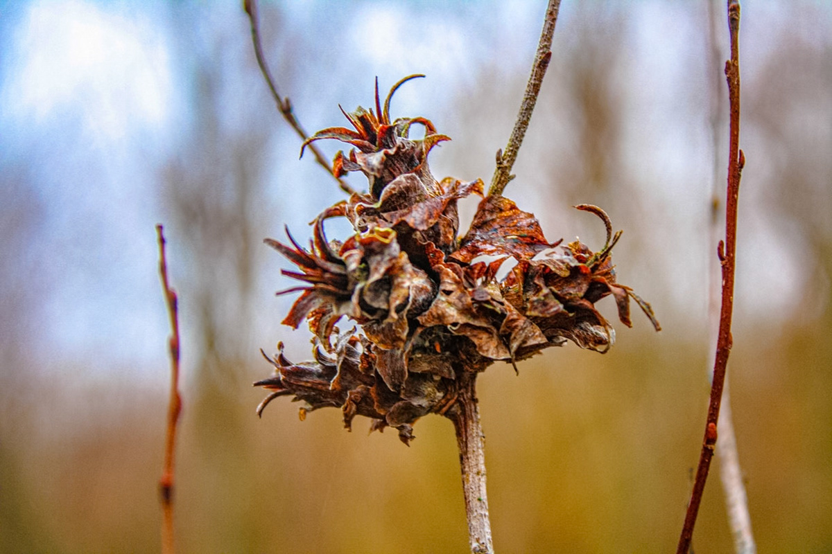 (Photo by Easton Miller)