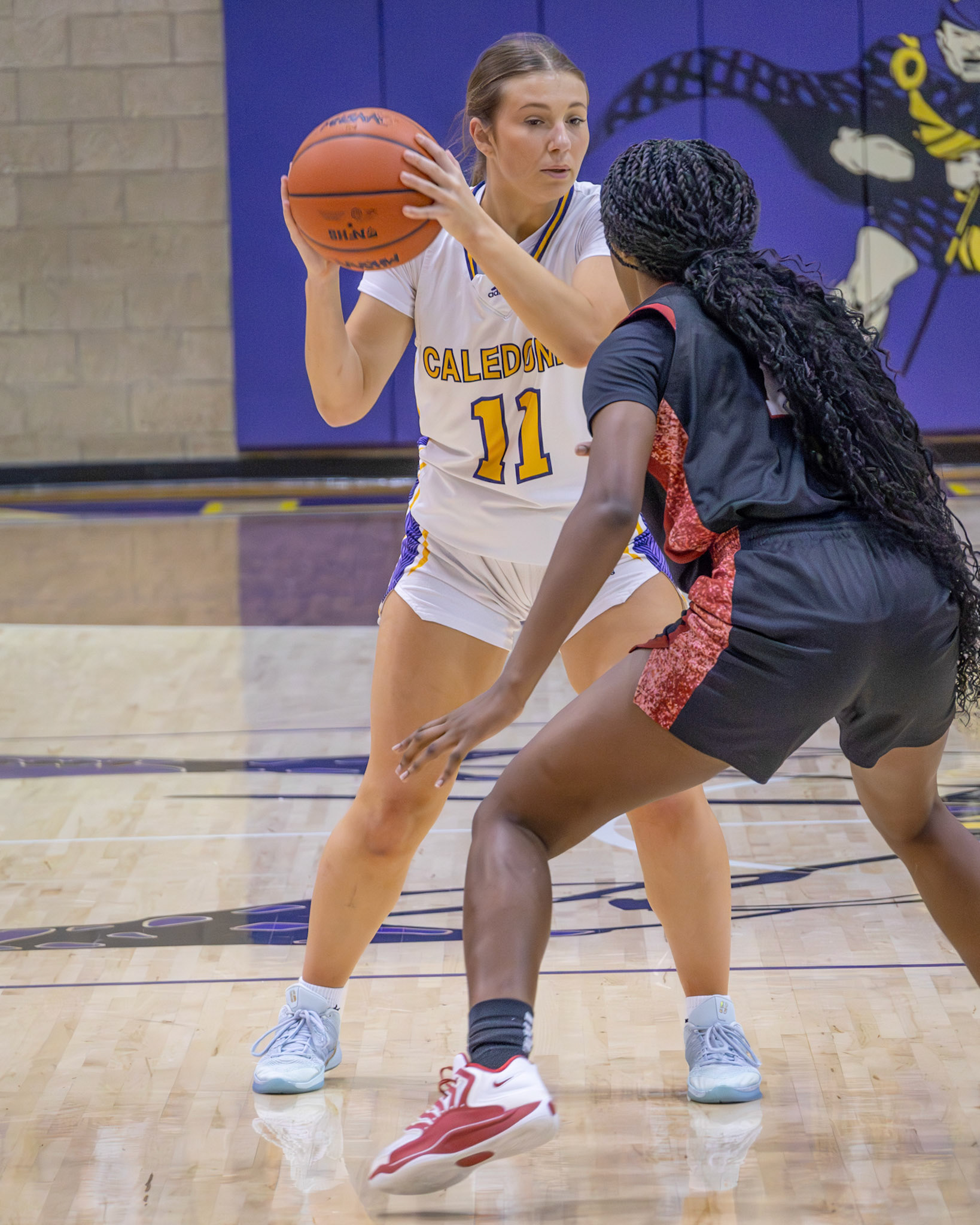 UNDER GUARD Baylee DeVries holds the ball against tight defense while setting up the next move. (Photo by Taya Penoes)