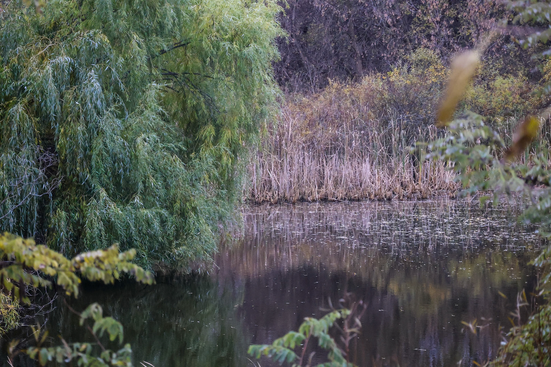 (Photo by Niklas VanderArk)