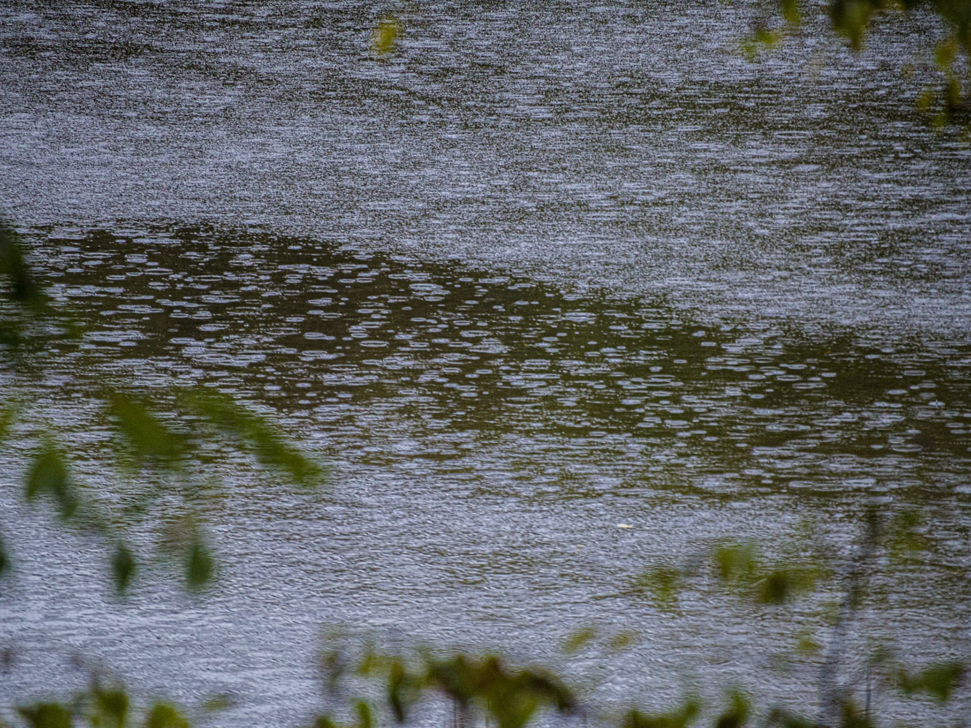 (Photo by Joe Visel)