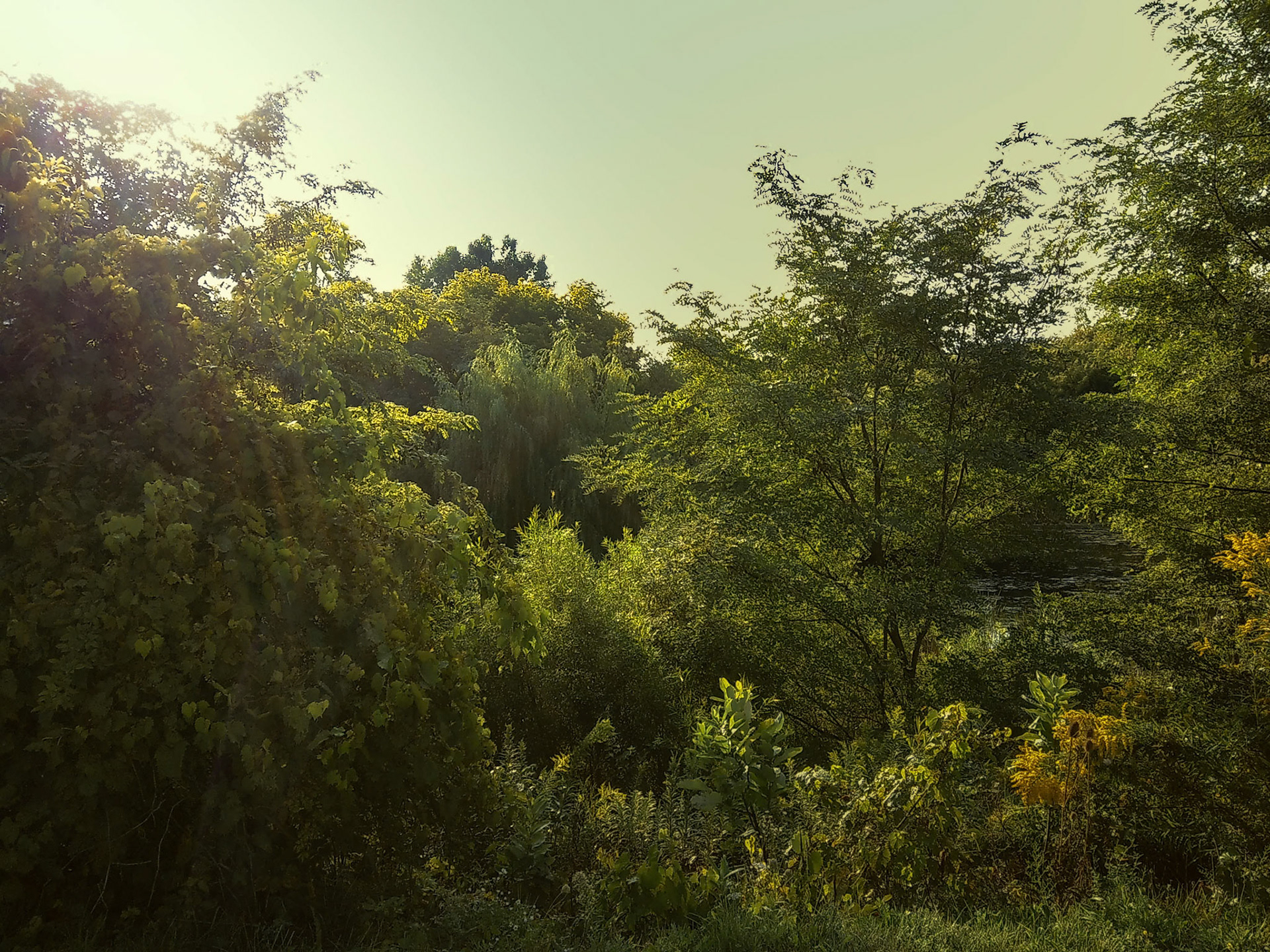 (Photo by Stephanie Juarez)