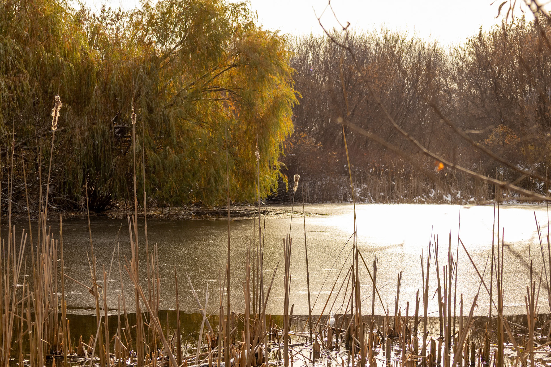 (Photo by Gavin Vanderhoff)