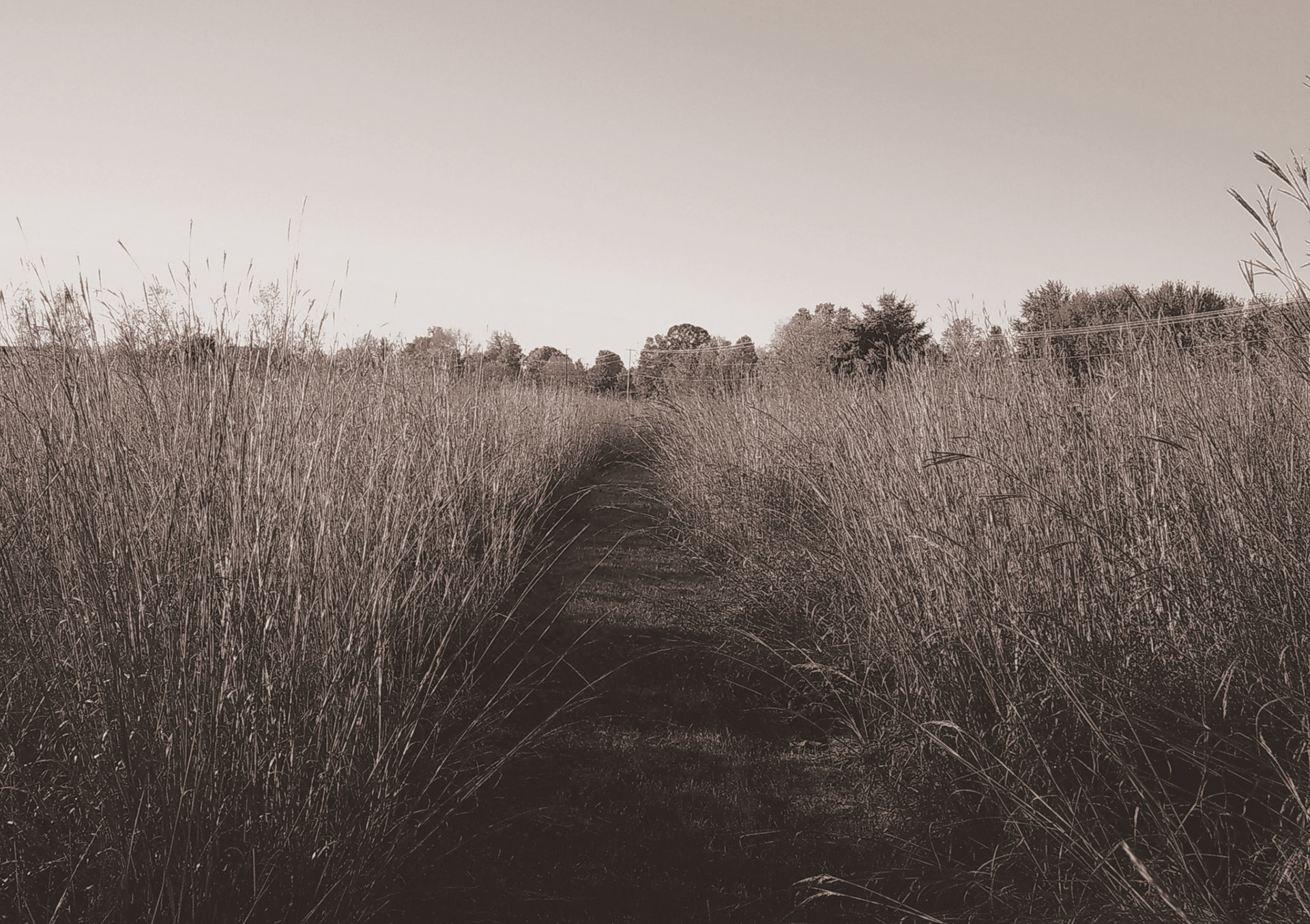 (Photo by Joe Visel)