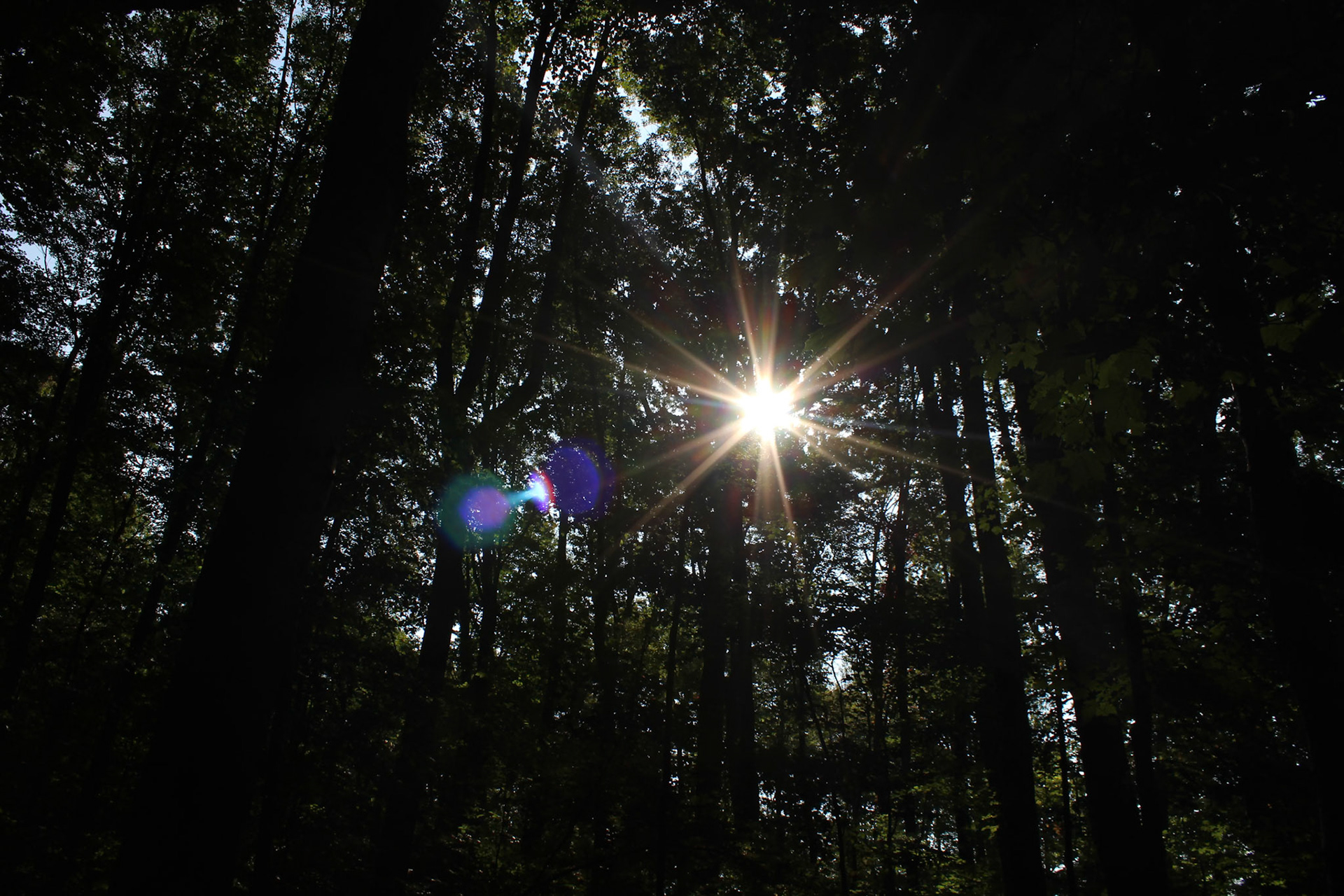 (Photo by Deegan Pecha-Gnat)