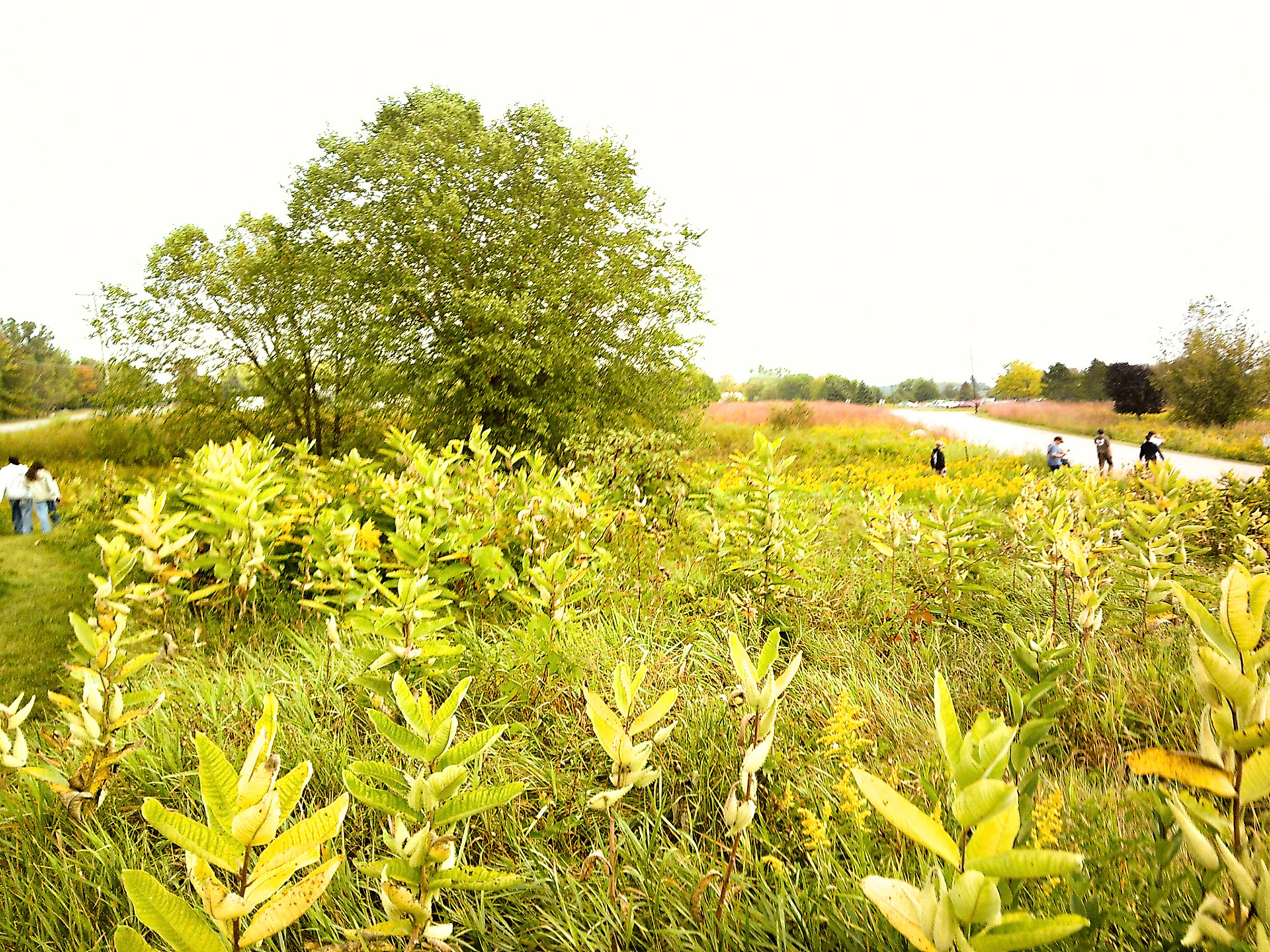 (Photo by Jagger Burnes)