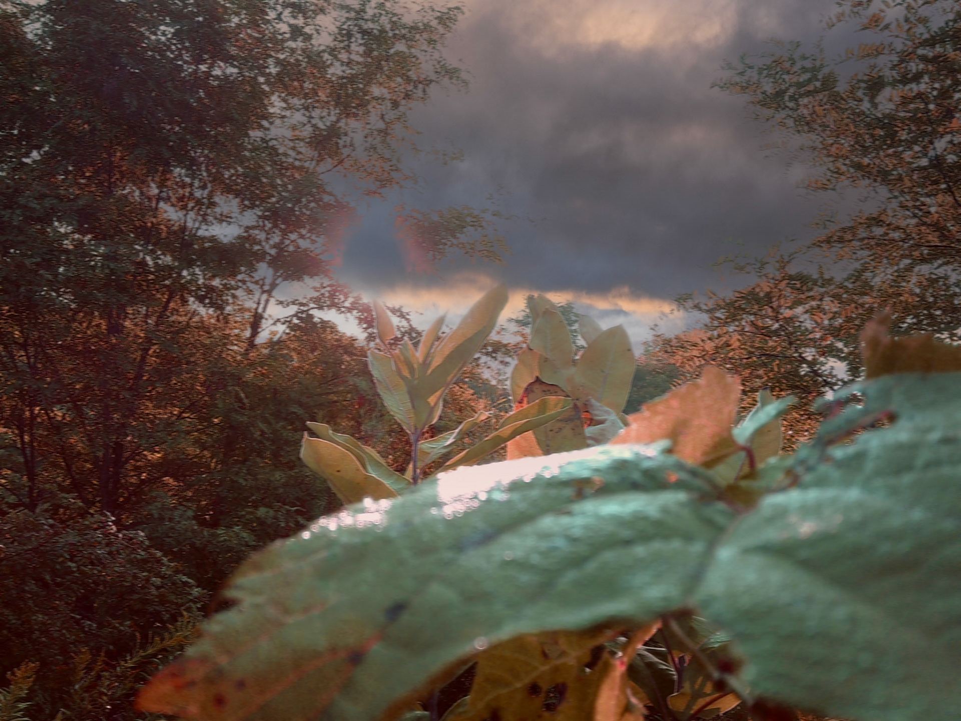 (Photo by Ayla Gerken)