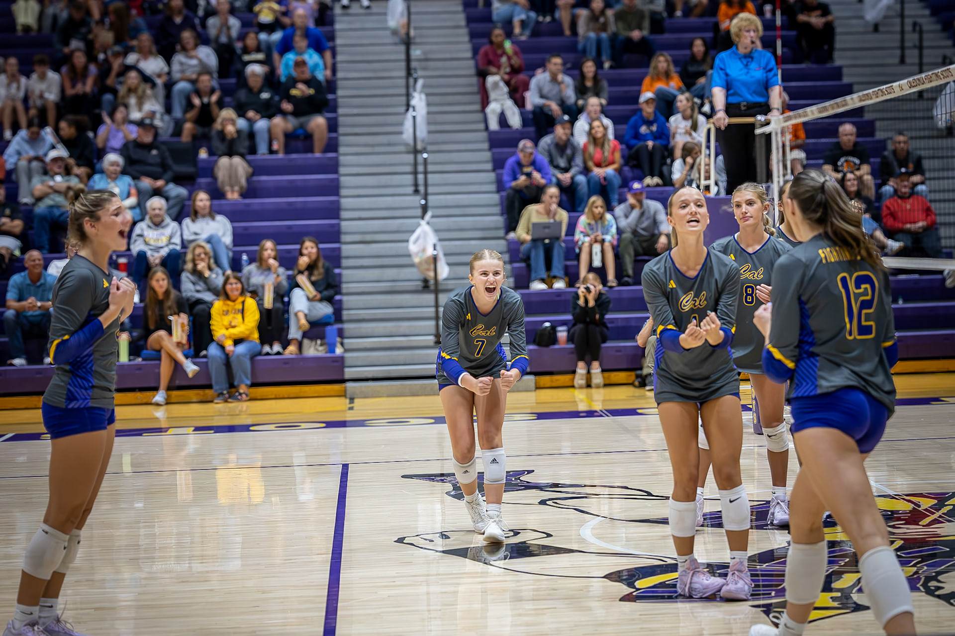 VVB19