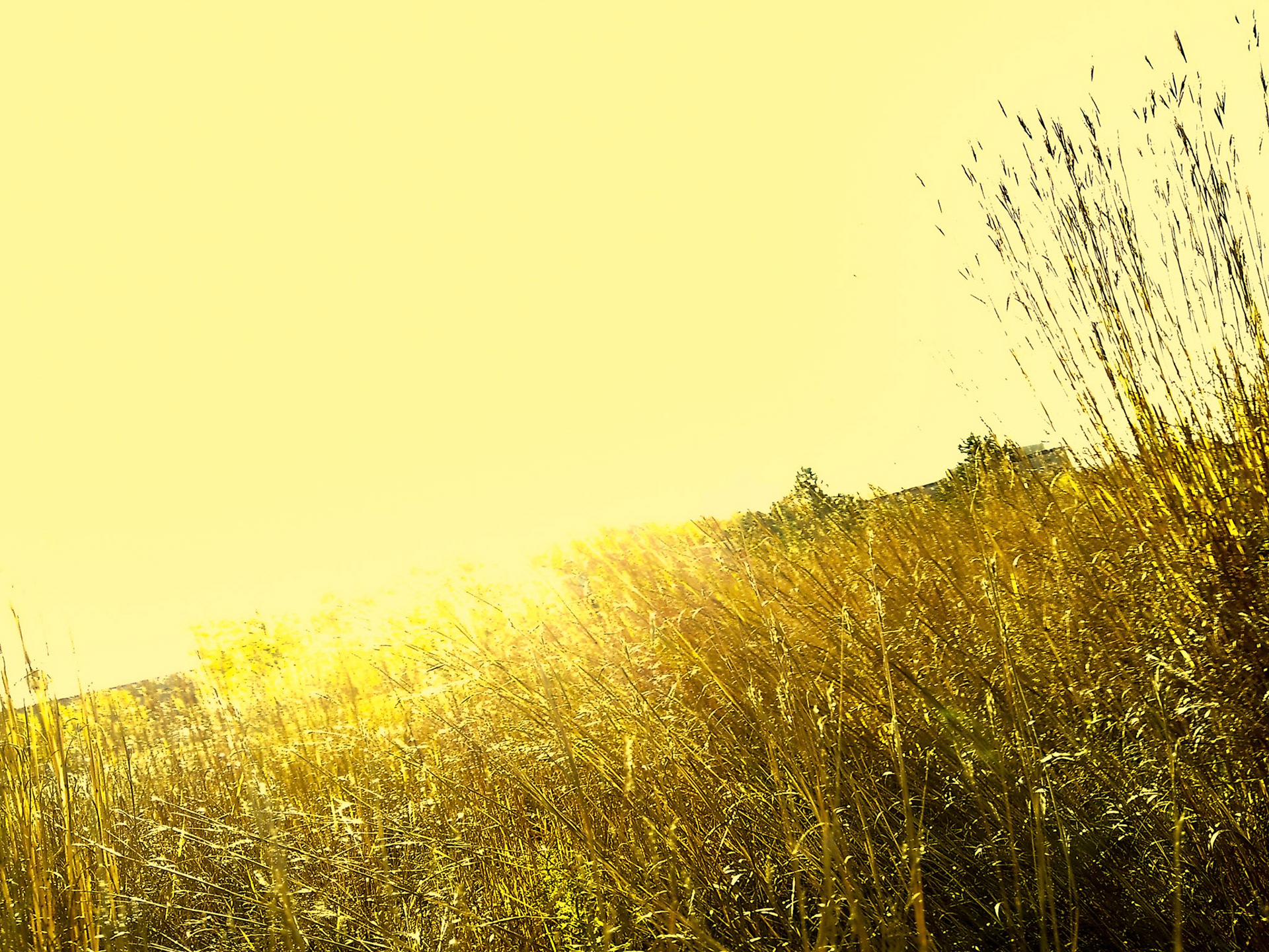 (Photo by Jagger Burnes)