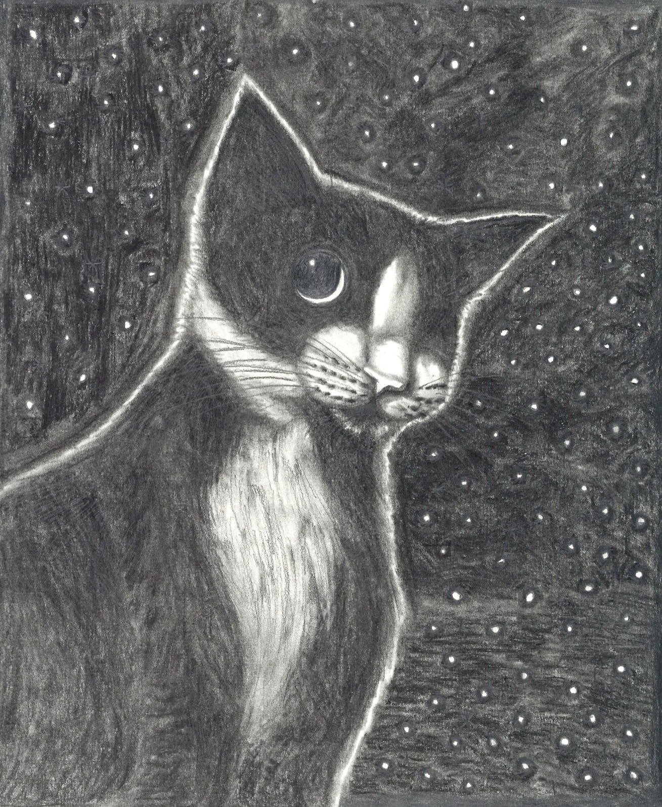 Graphite and Charcoal (Josie Endres)