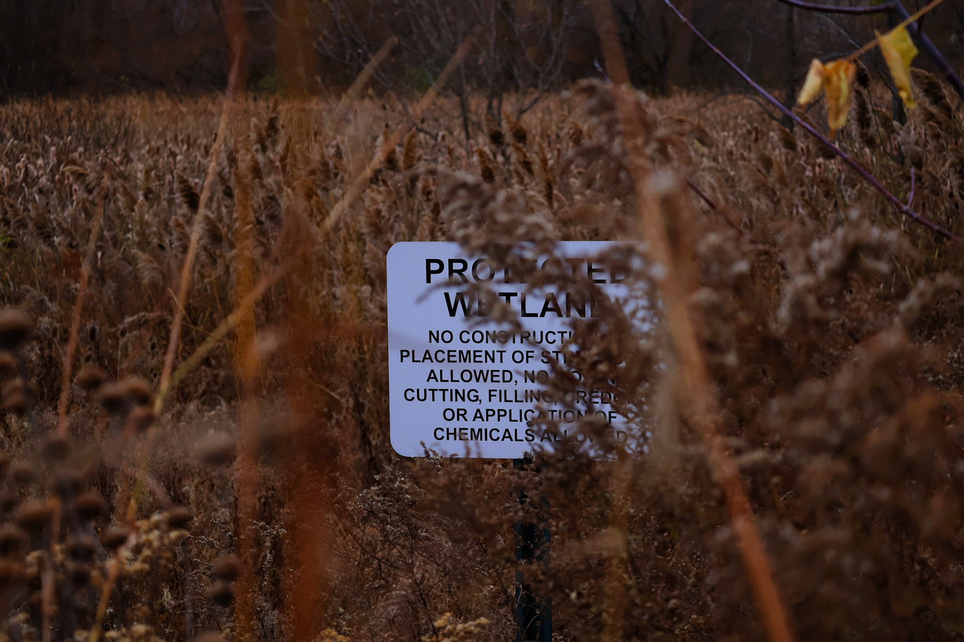 (Photo by Ayla Gerken)