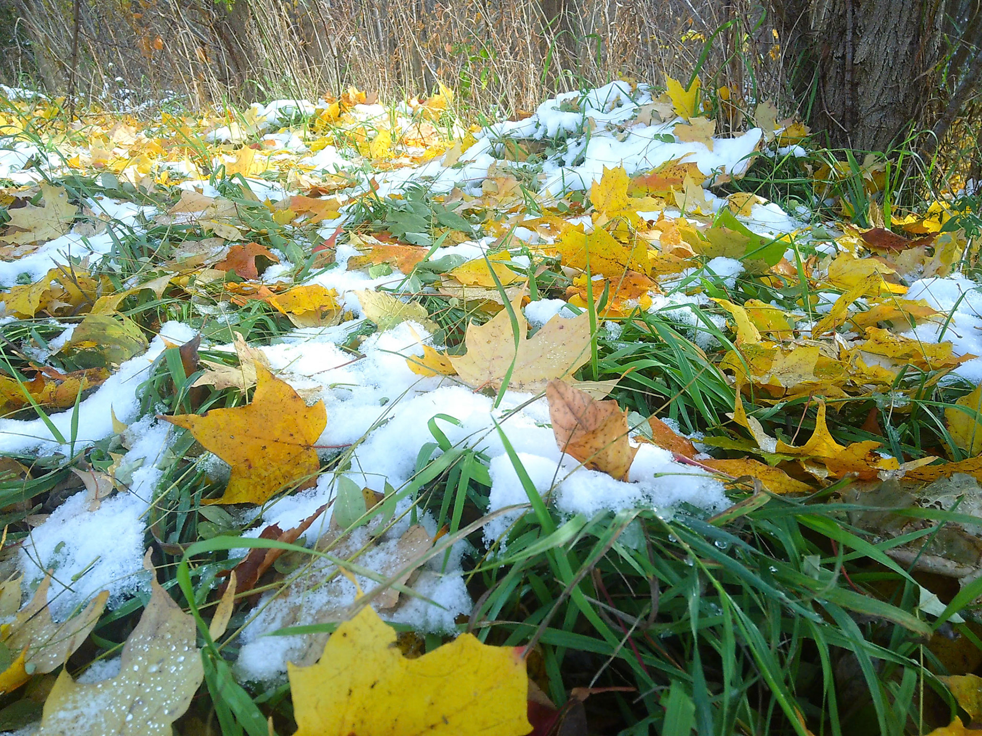 (Photo by Erik Cove)