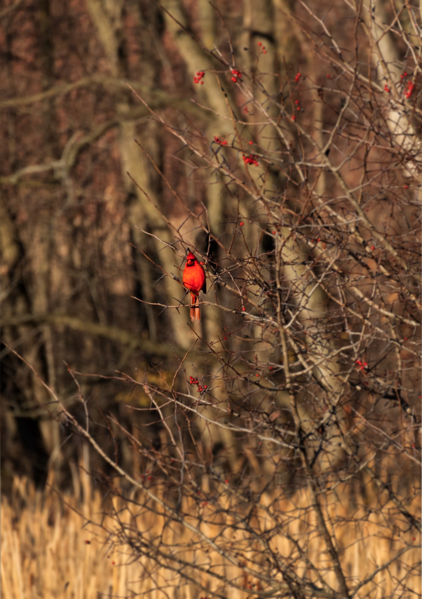 (Photo by Ayla Gerken)