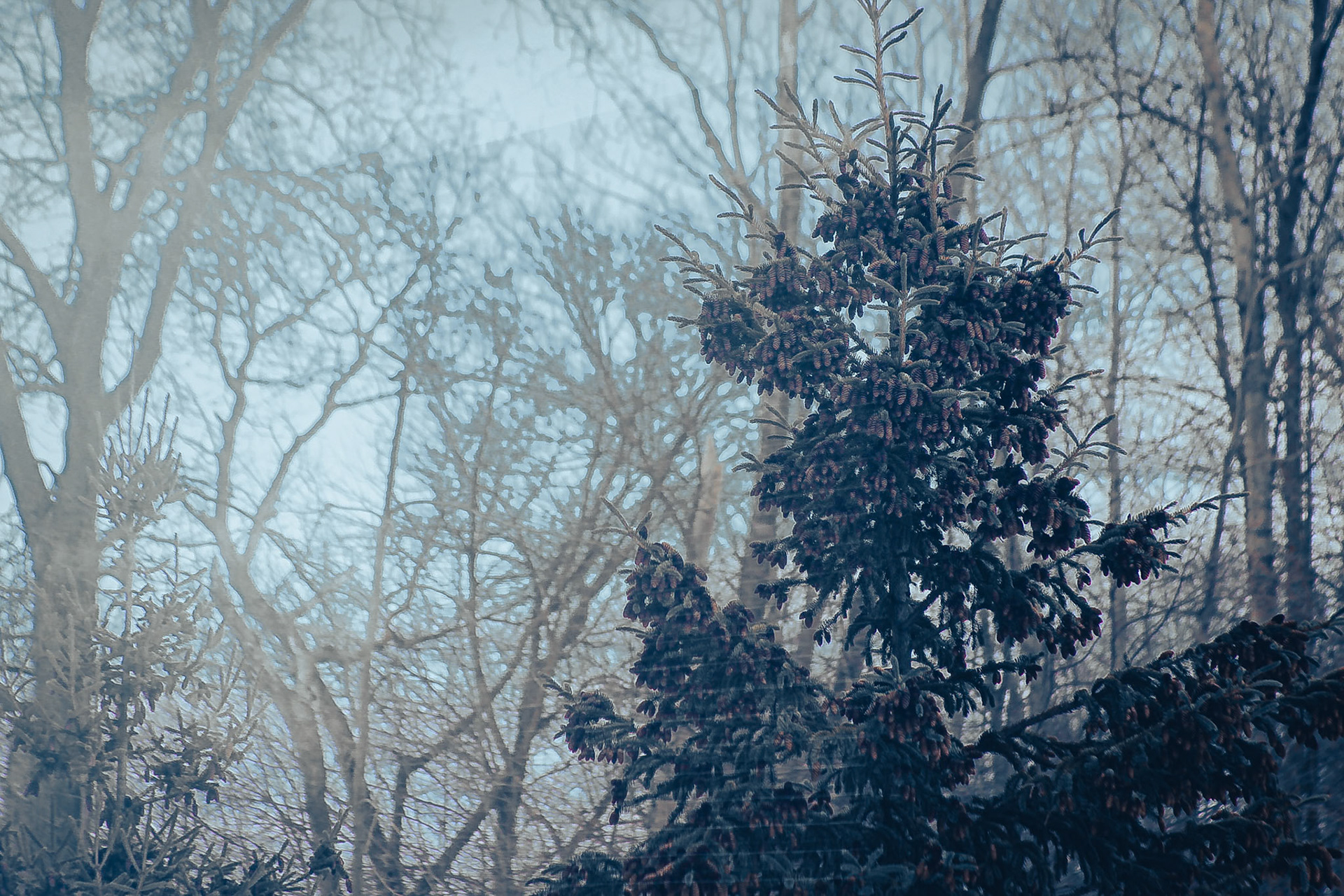 (Photo by Maliyah Gebremariam)