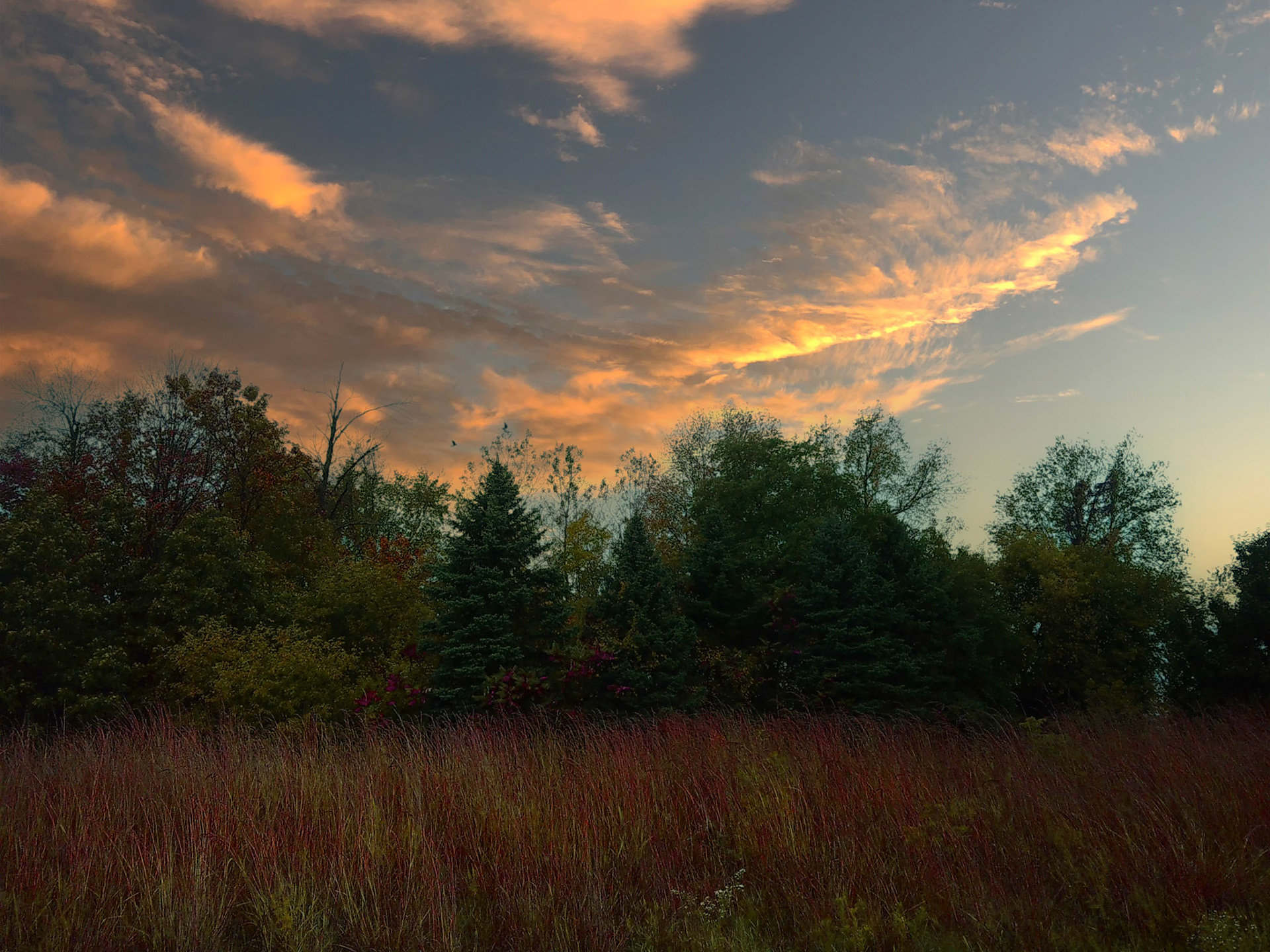 (Photo by Ayla Gerken)