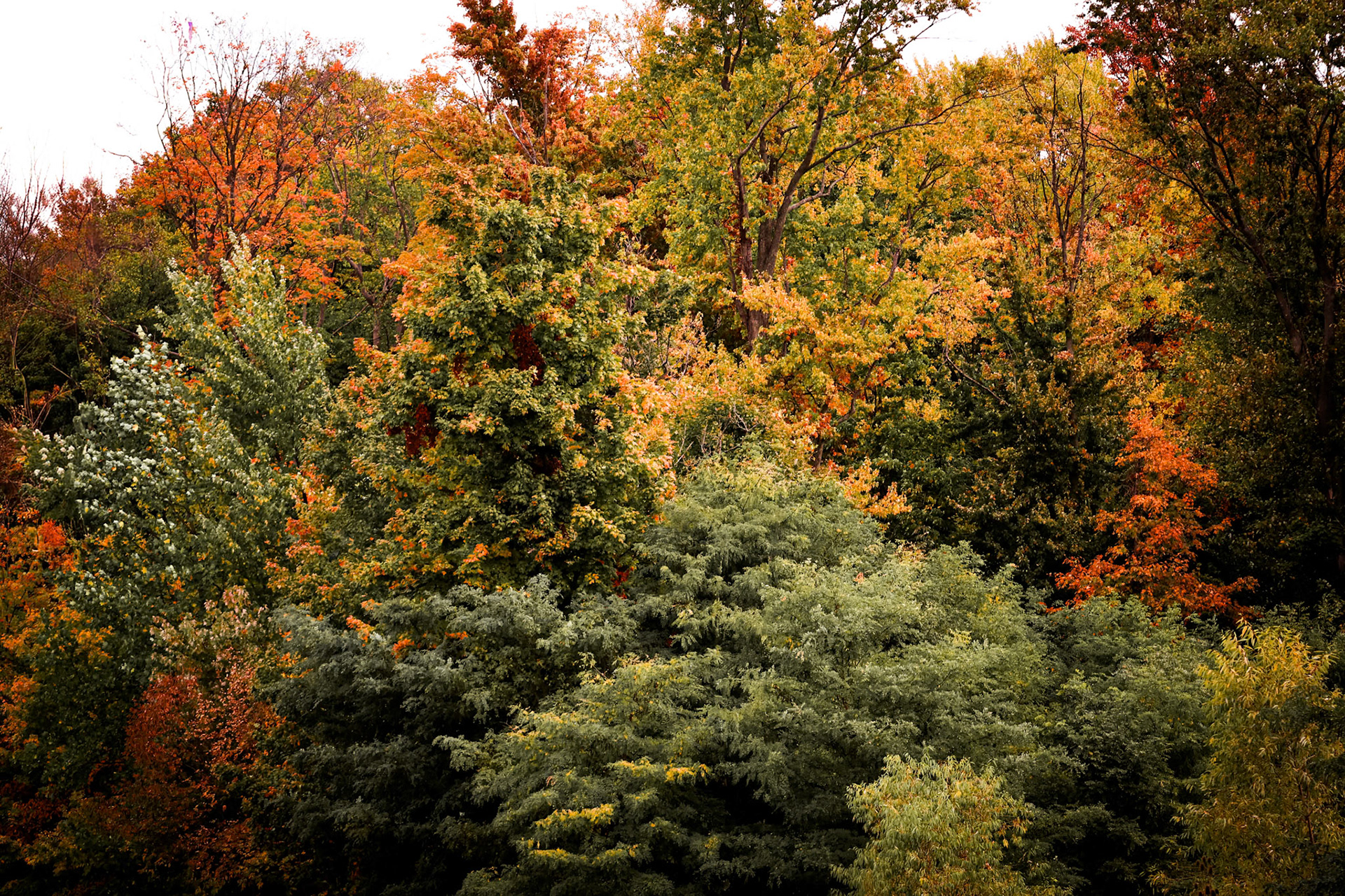 (Photo by Baylee DeVries)