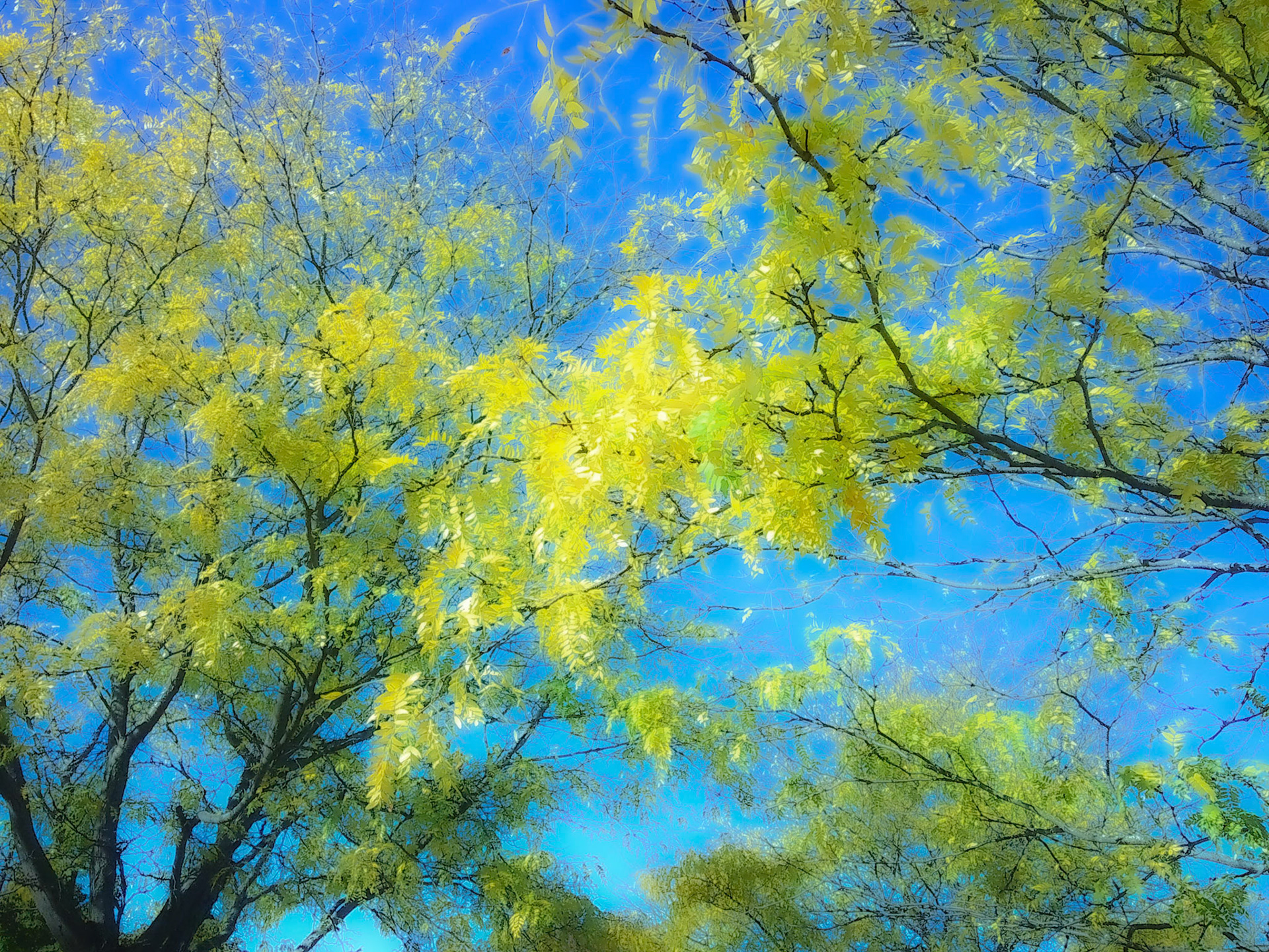 (Photo by Ricky Huyser)