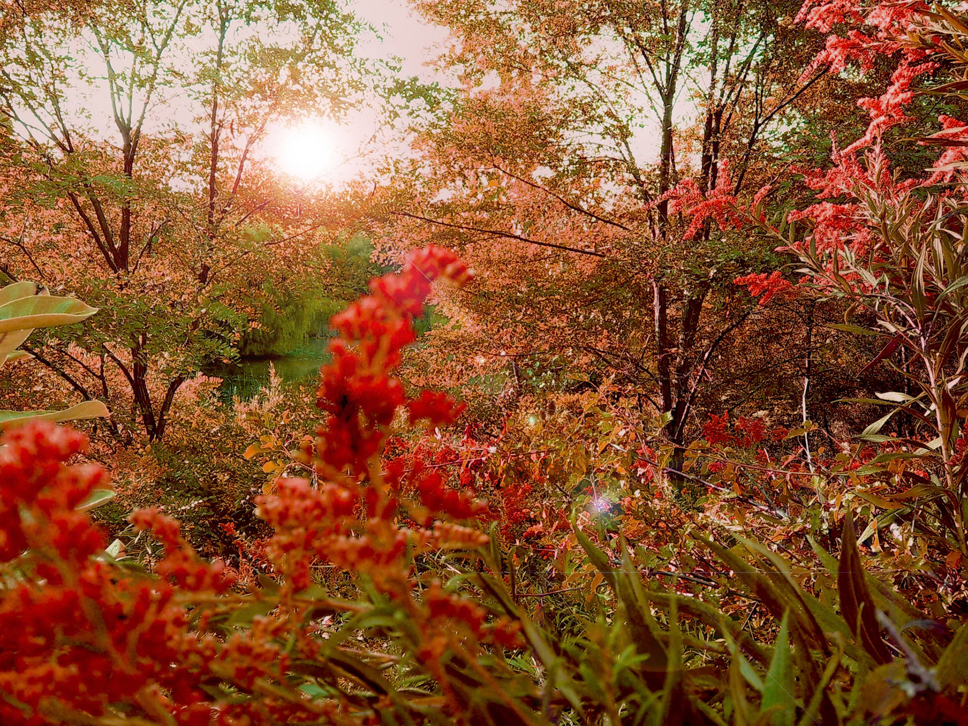 (Photo by Ayla Gerken)