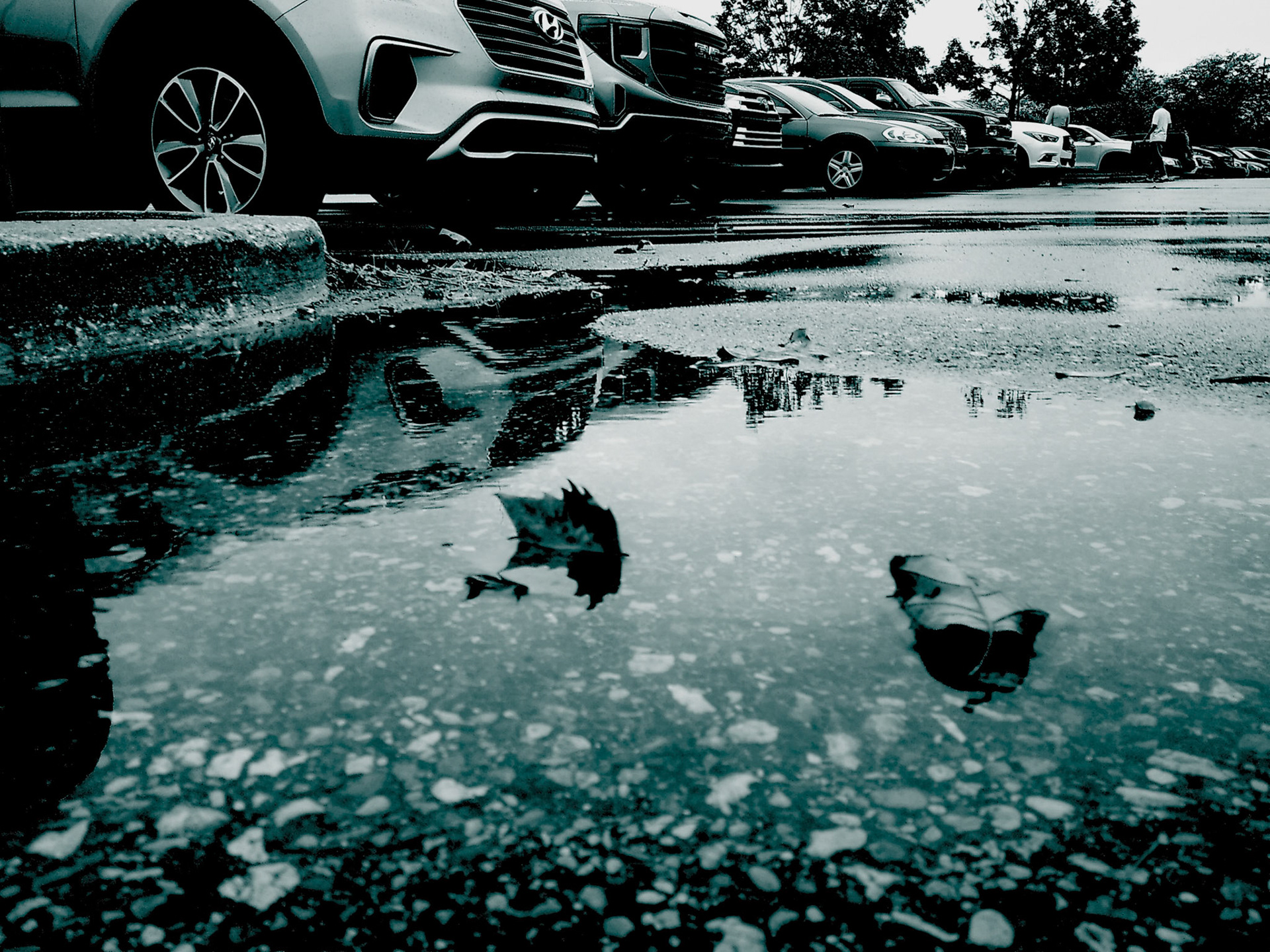 (Photo by Salome Rouhier)