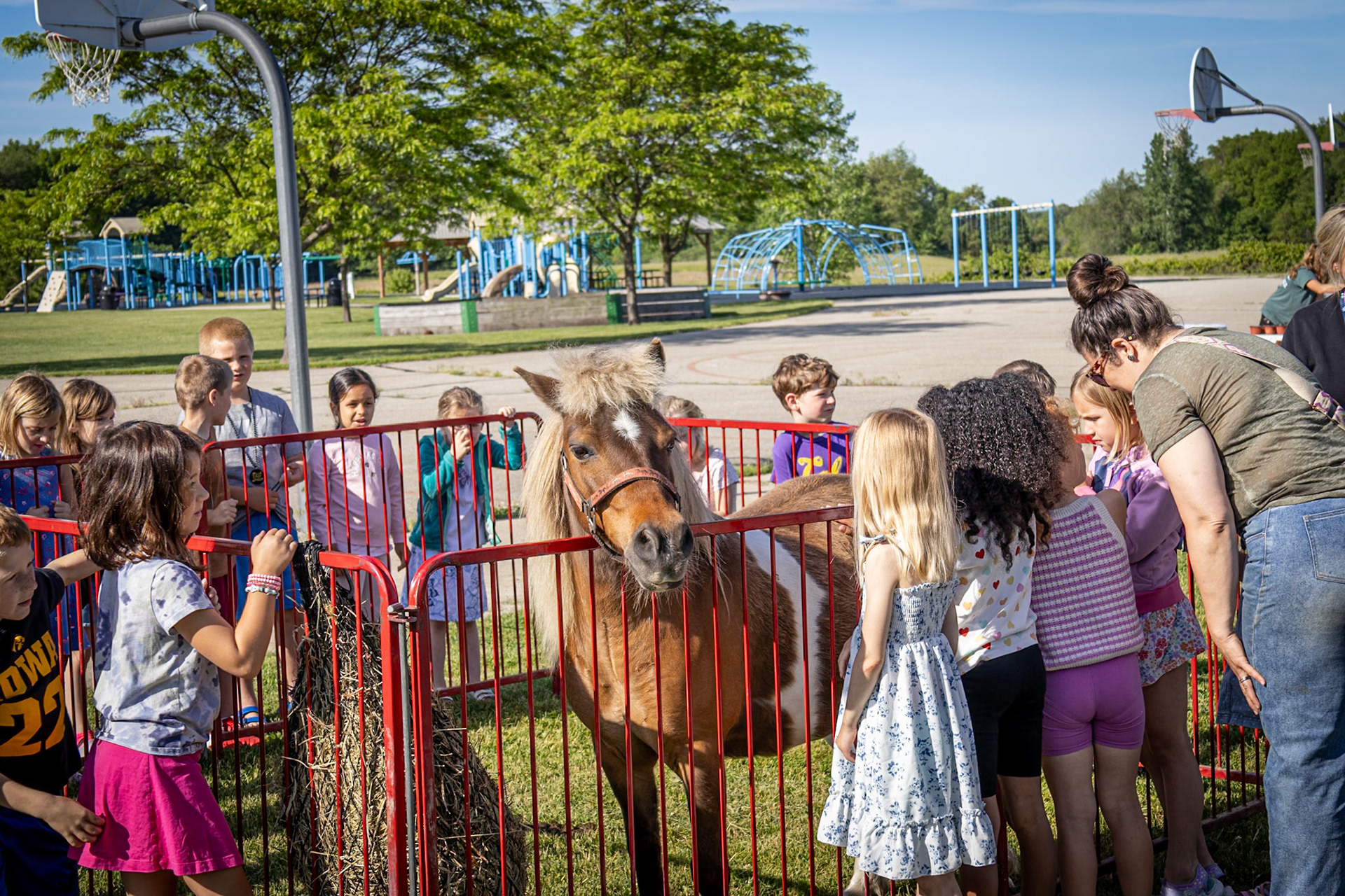 Students gather around a pony during an Agri-Cal event held at Paris Ridge. Members of the high school food science class helped lead the event. (Photo by Landry Mueller)