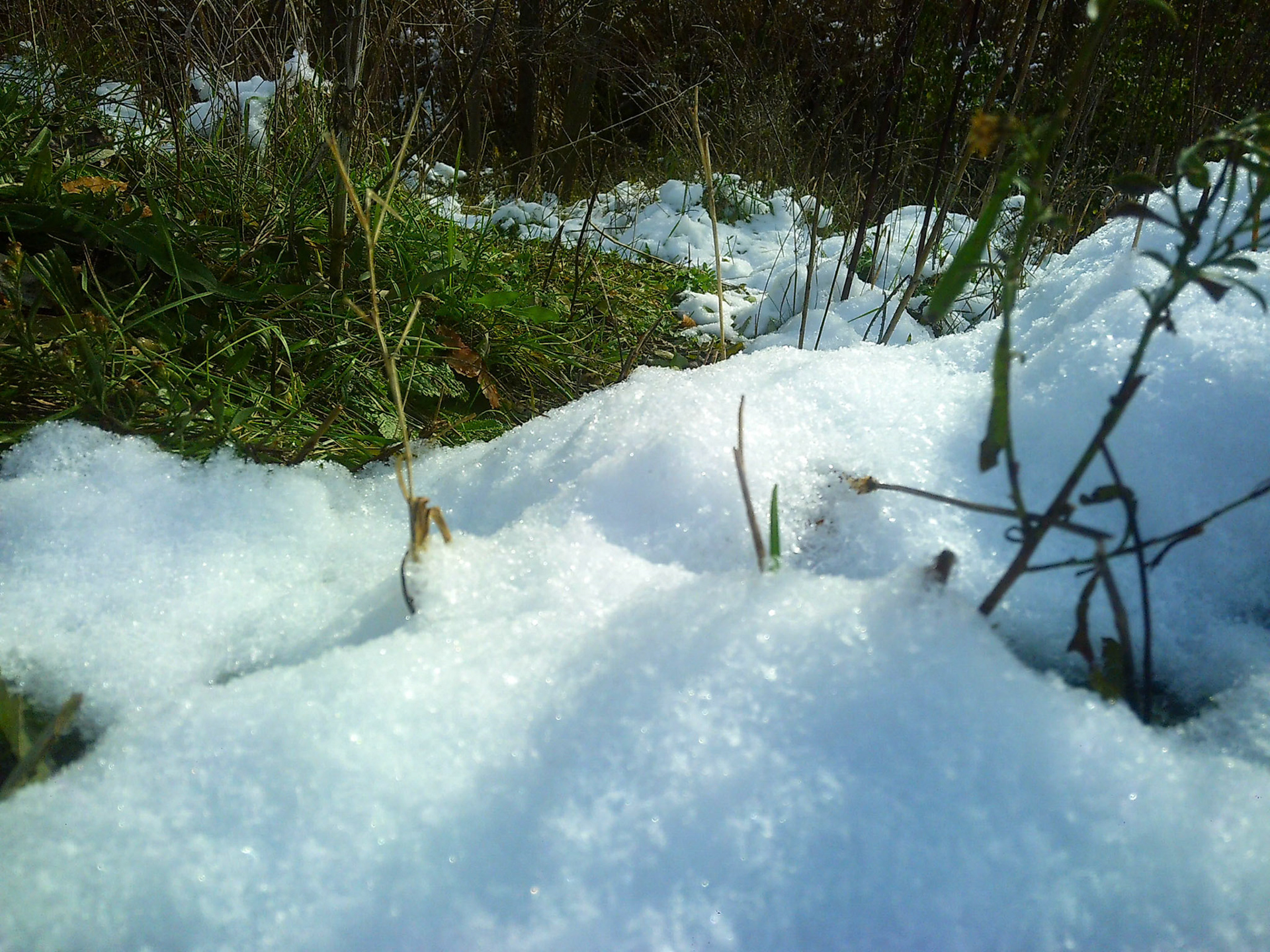 First Snowfall (Photo by Erik Cove)