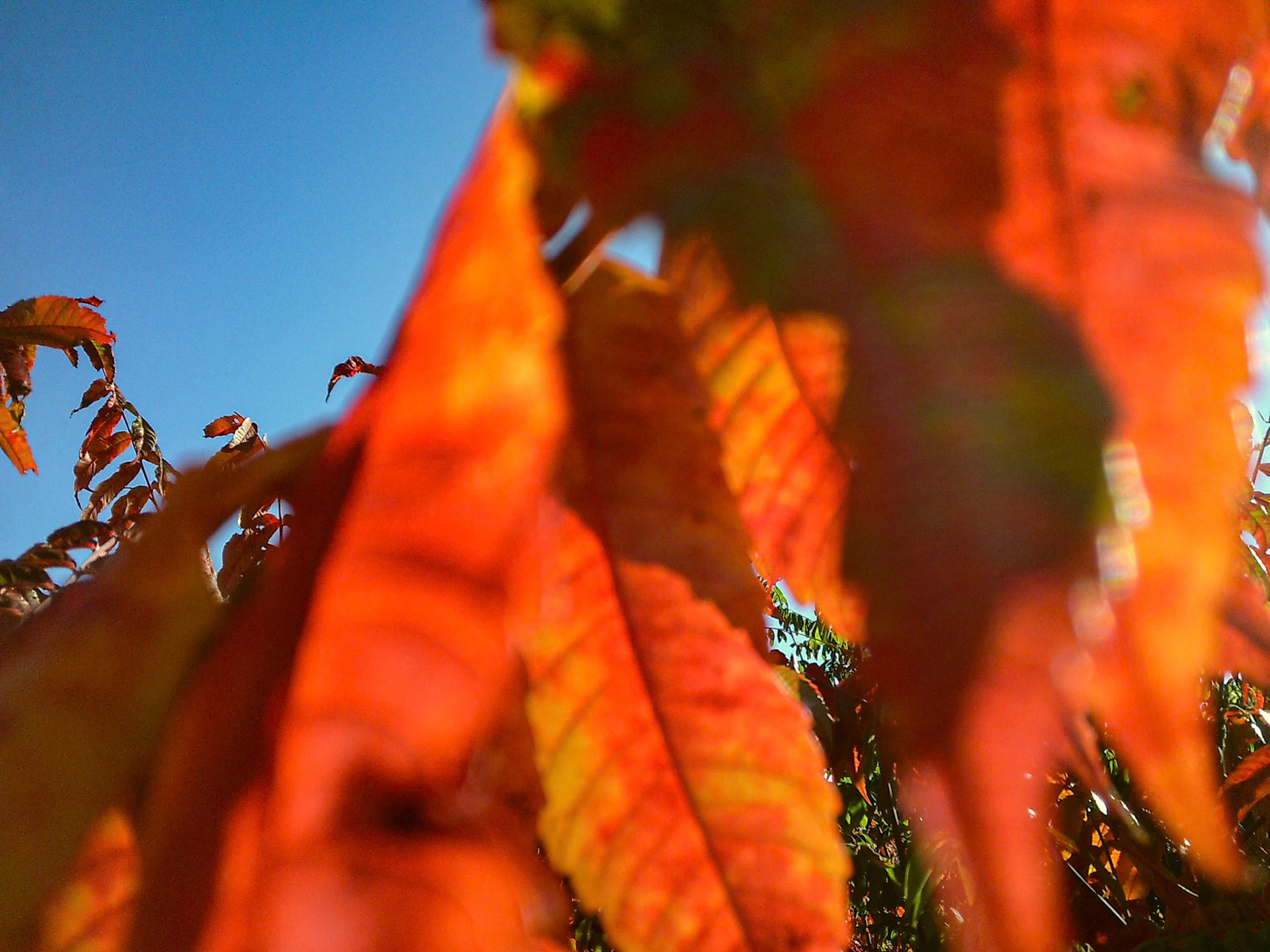 (Photo by Erik Cove)