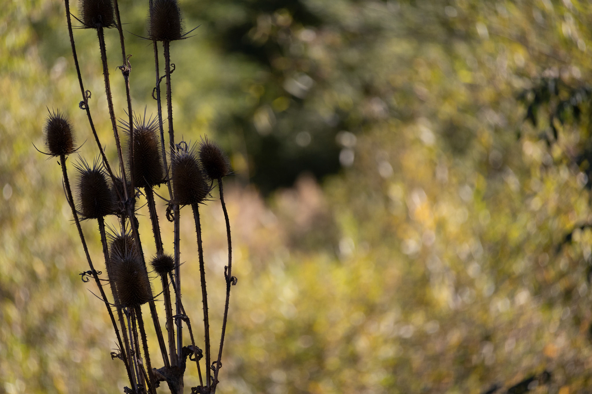 (Photo by Mohamed Gamareldawla)