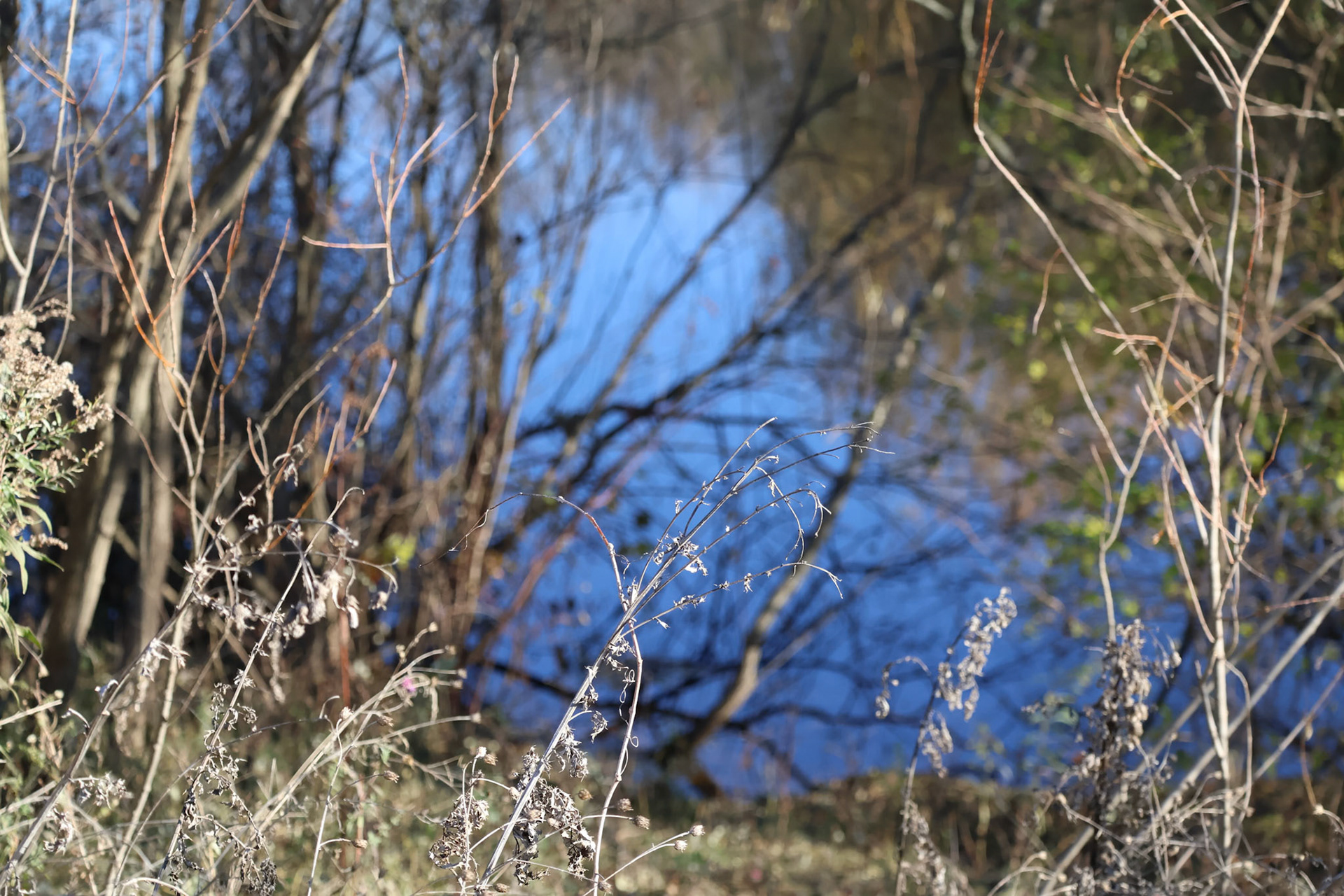 (Photo by Mohamed Gamareldawala)