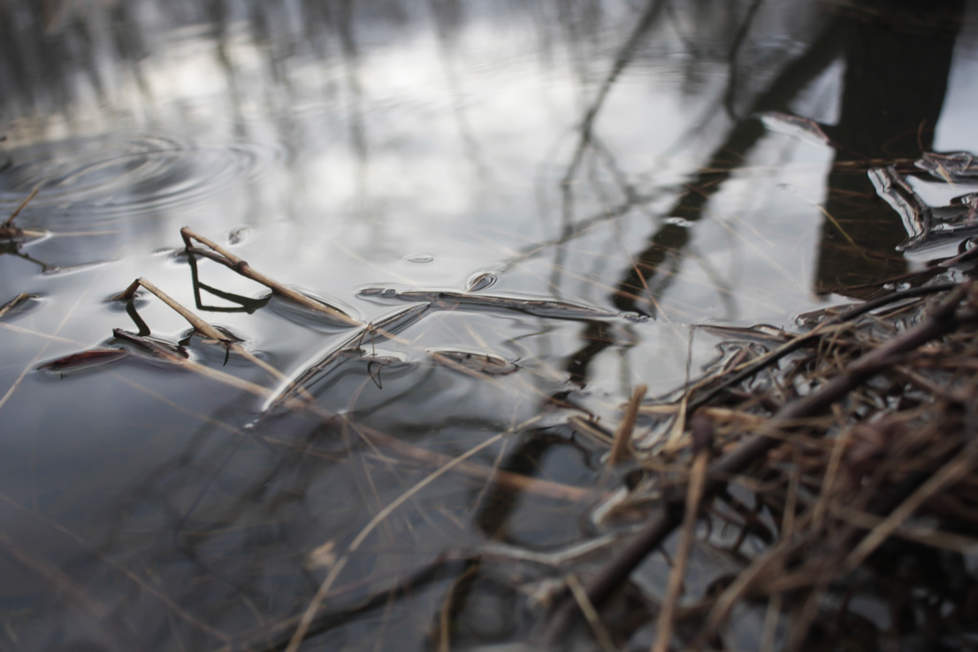 (Photo by Jorden Trice)