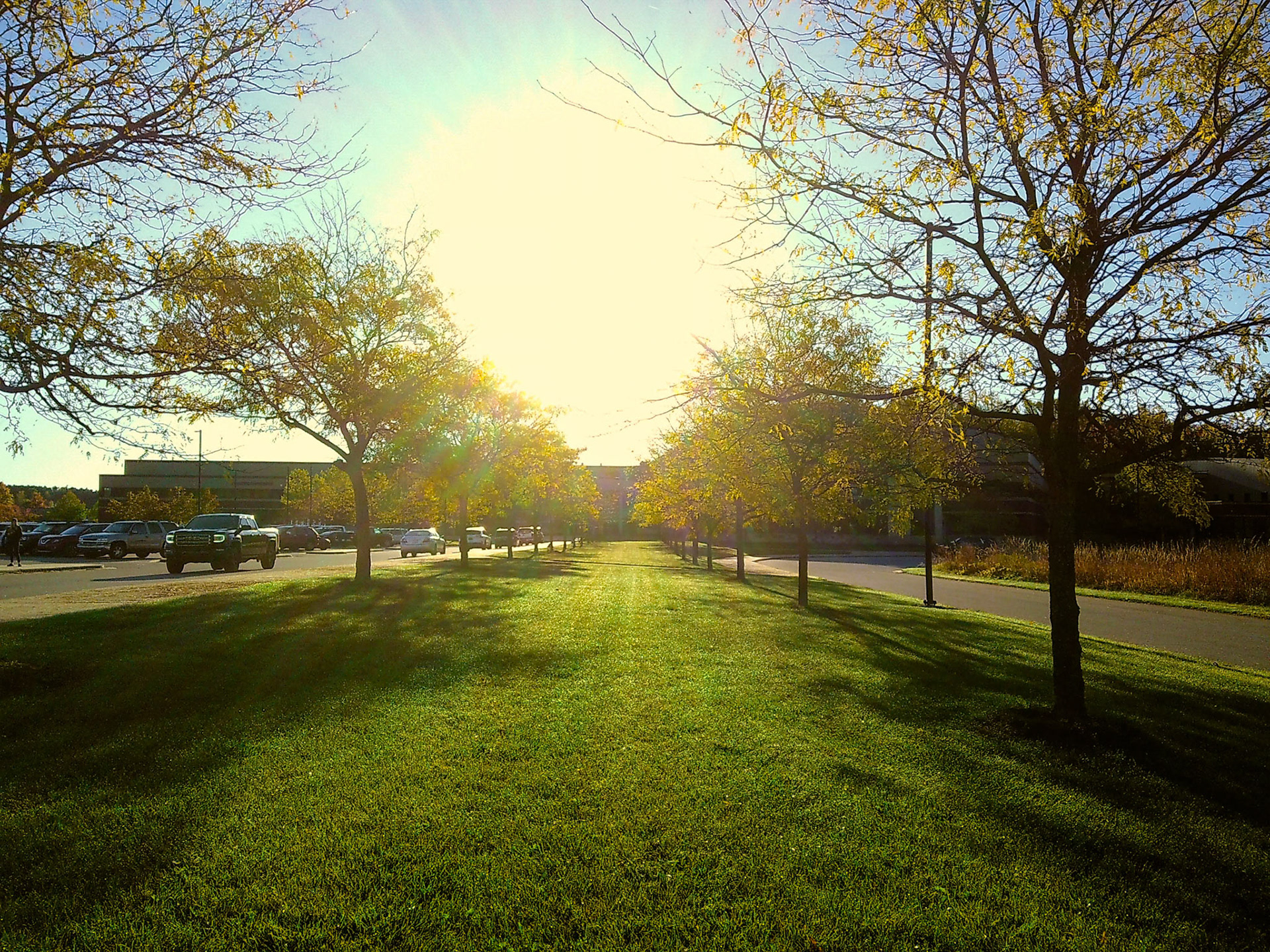 (Photo by Addison Cook)