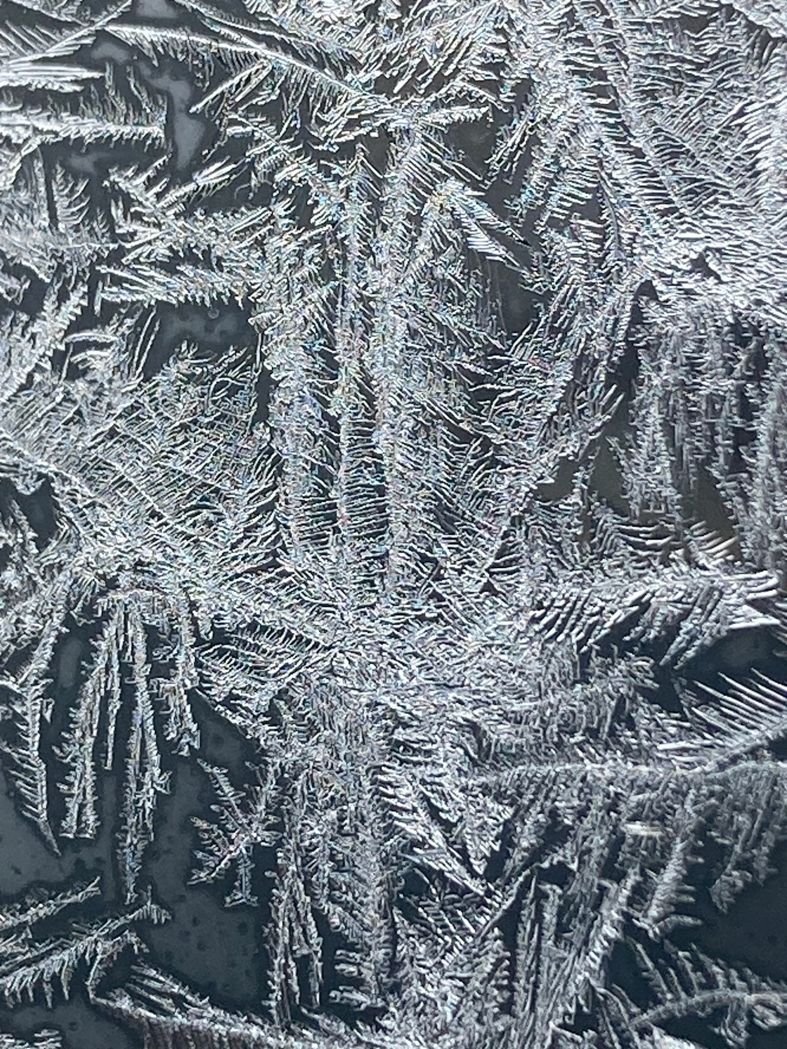 (Photo by Bob Cornell)