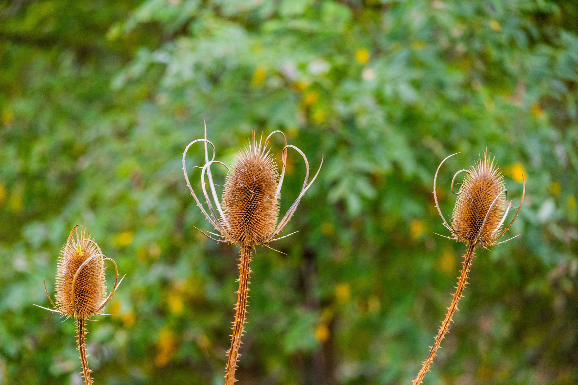 (Photo by Brecken Byrd)