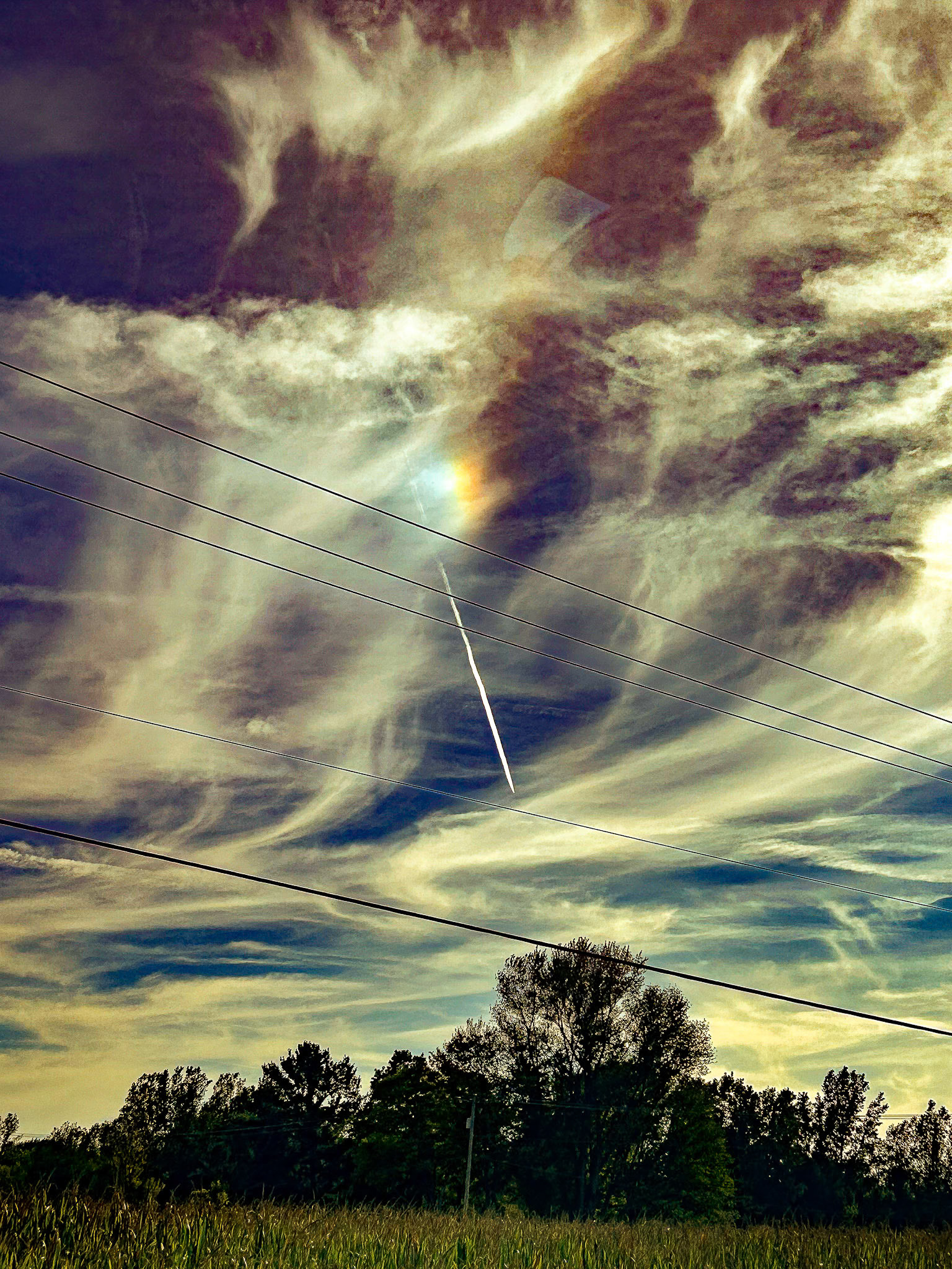 (Photo by Gavin Vanderhoff)