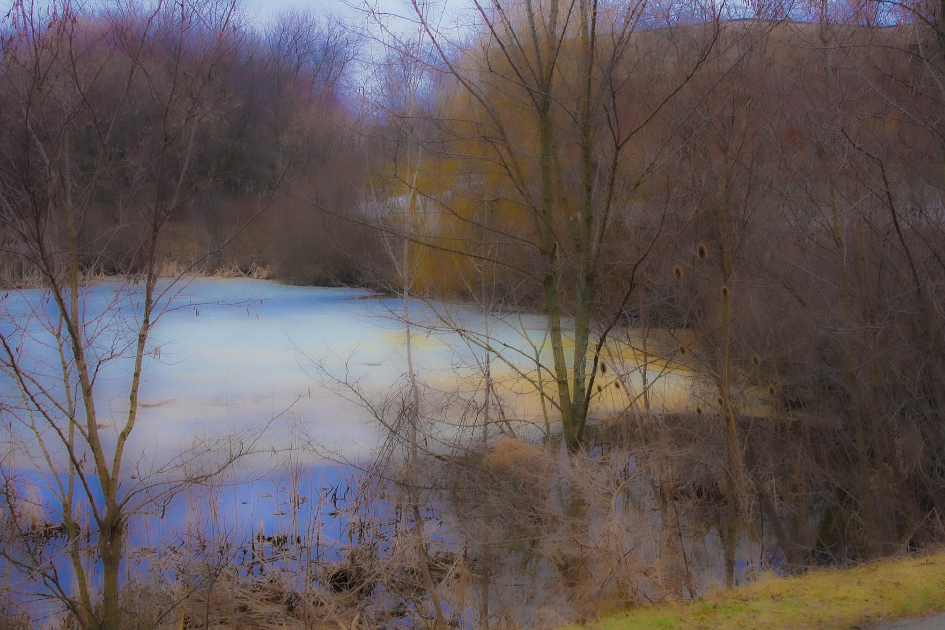 (Photo by Ainsley Fron)