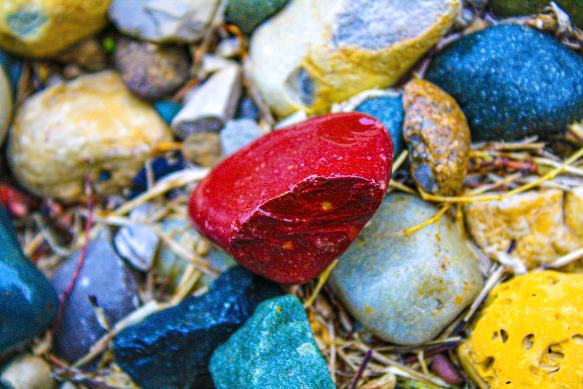 (Photo by Easton Miller)