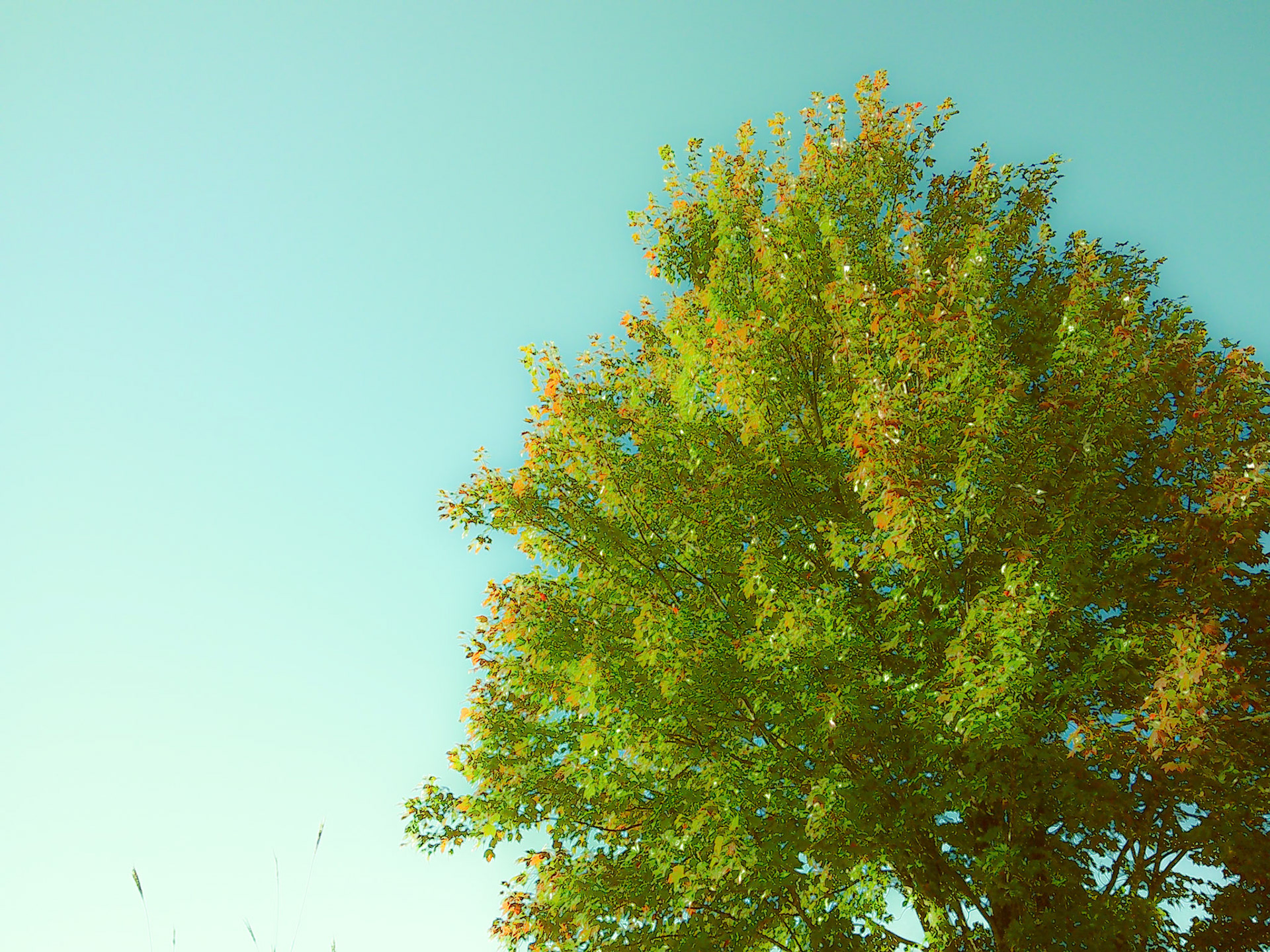 Photo by Jagger Burnes)