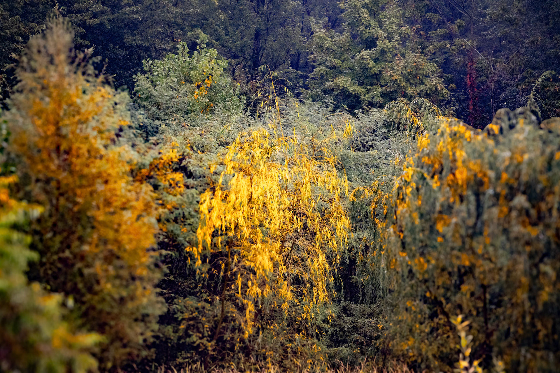 (Photo by Garvin Vanderhoff)