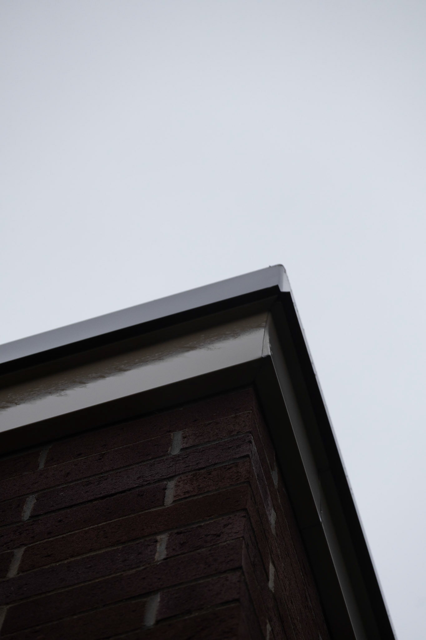 (Photo by Gavin Vanderhoff)