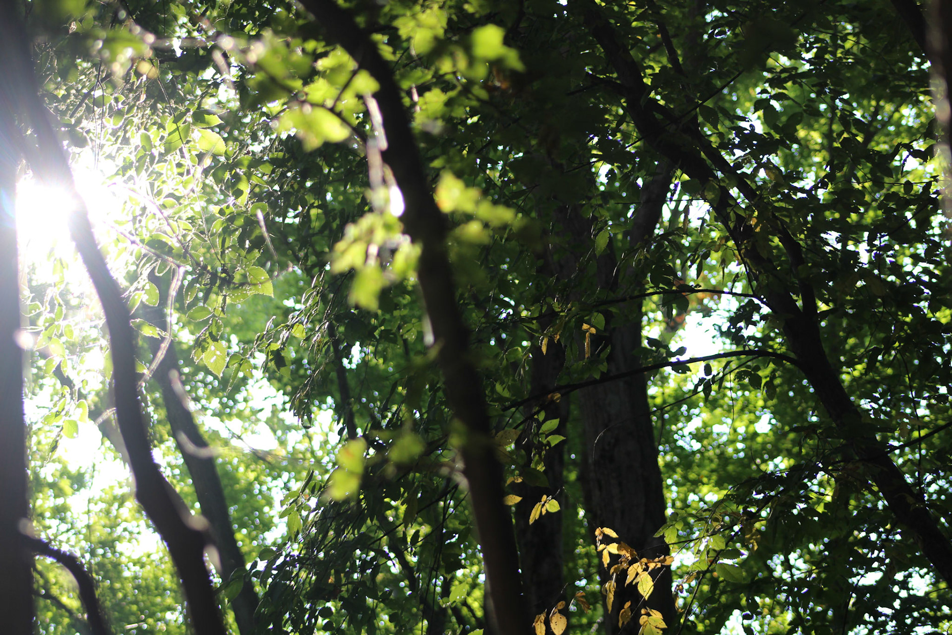 (Photo by Deegan Pecha-Gnat)