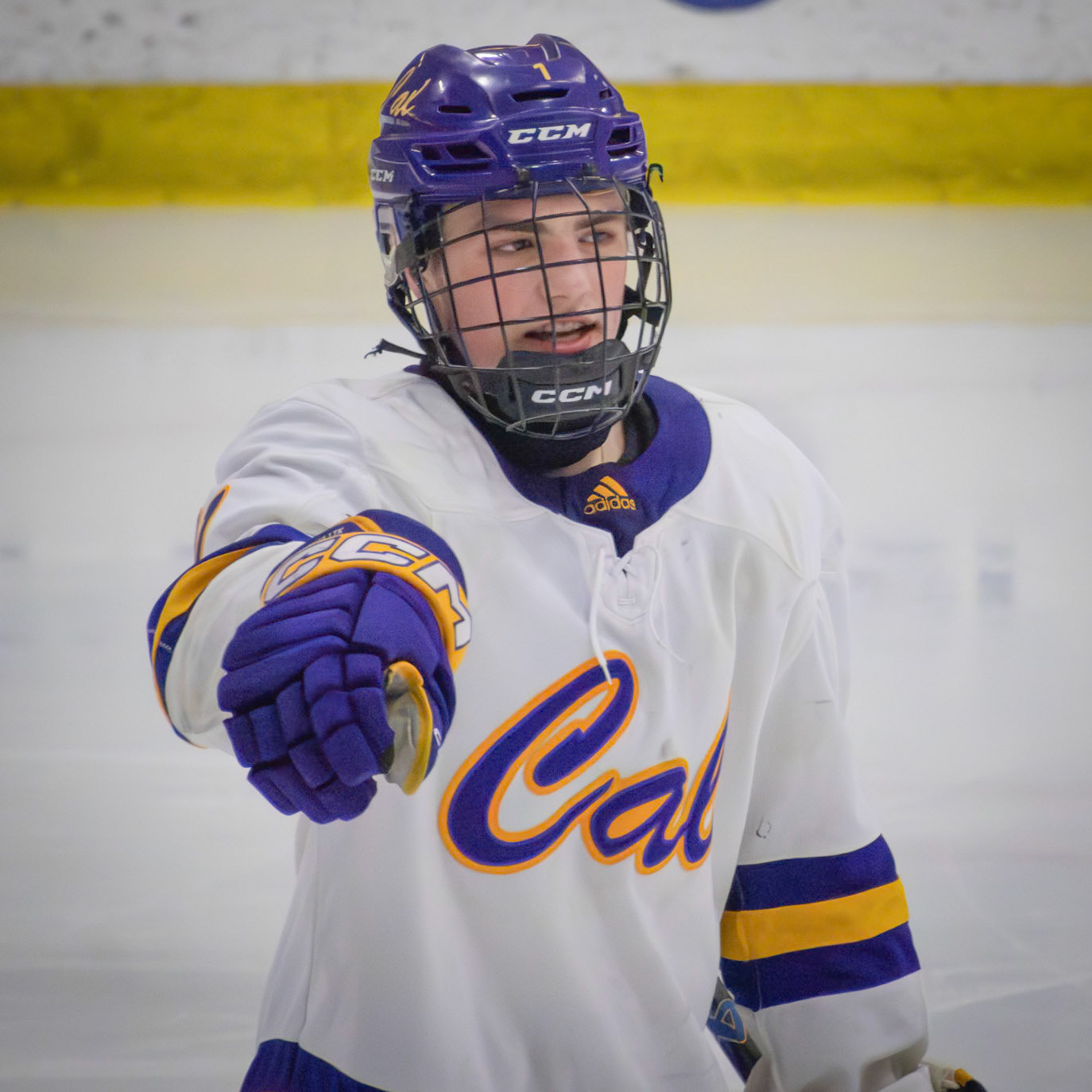 Pointing out a missed call, Ty Lewandowski asks his coach to challange a player for a foul play. (Photo by Ella-Grace Wickens)