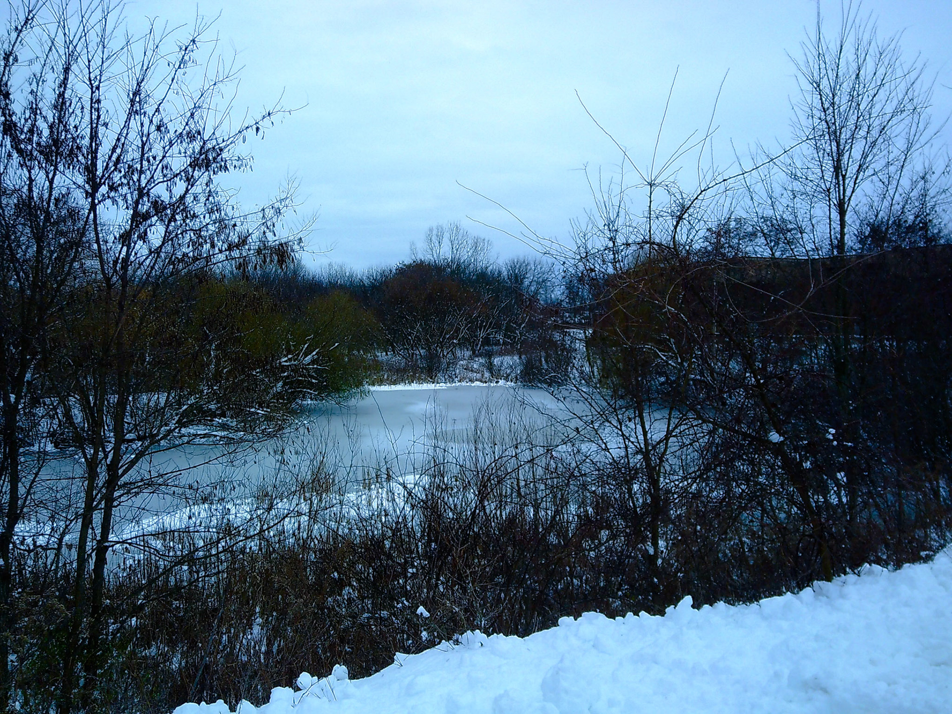 (Photo by Aidan Cousineau)