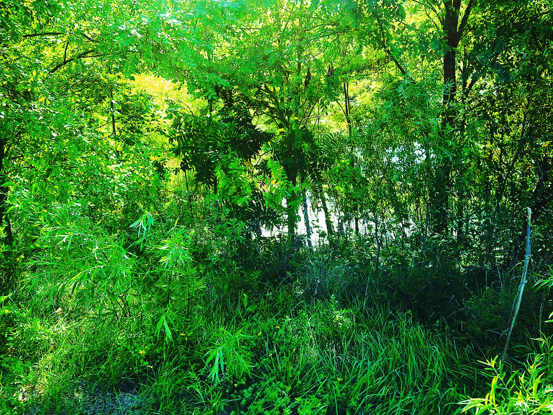 (Photo by Hunter Creguer)