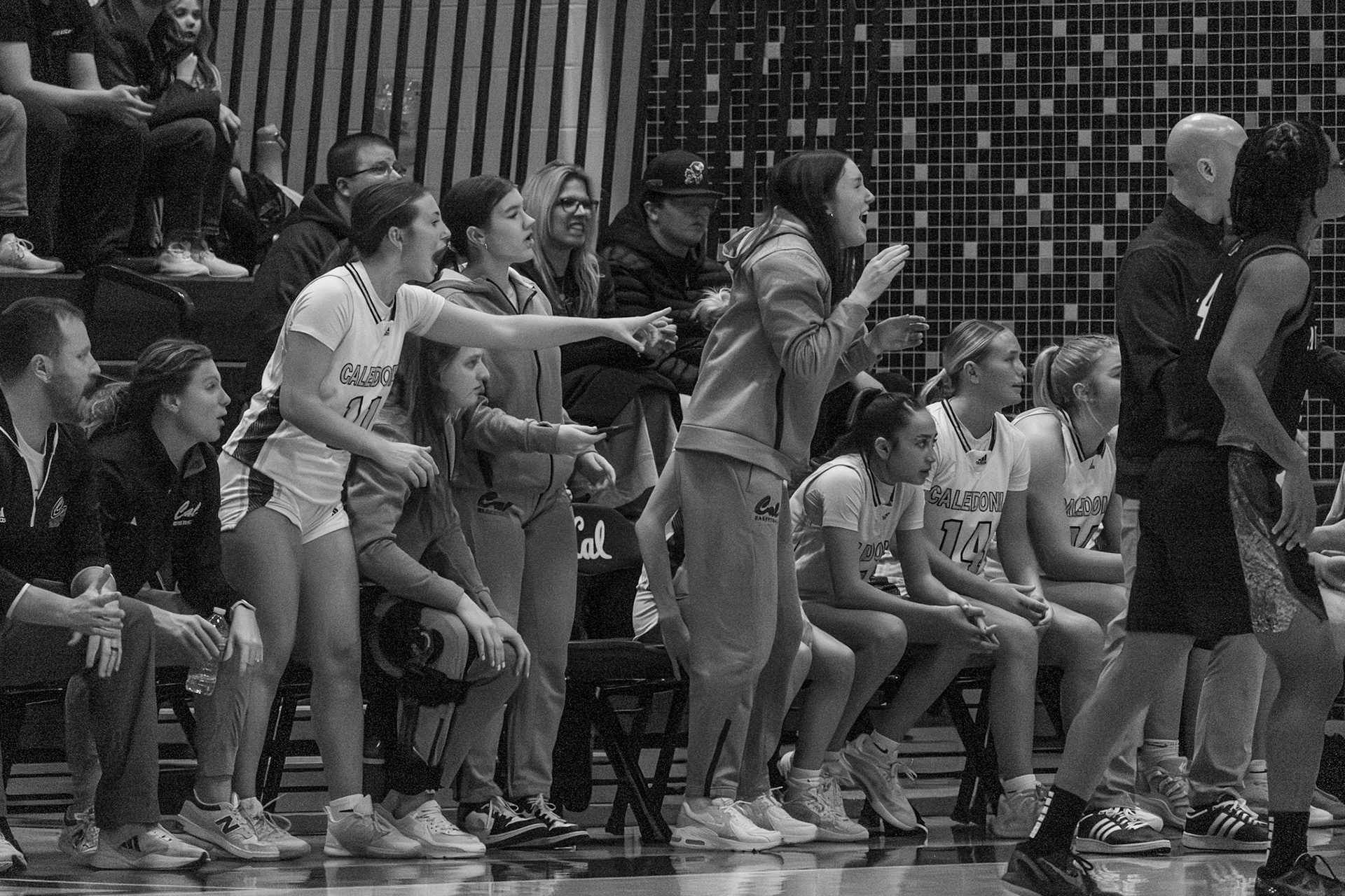 The varsity bench goes crazy, yelling and jumping as their teammate puts up a shot.(Photo by Ava LaBine)