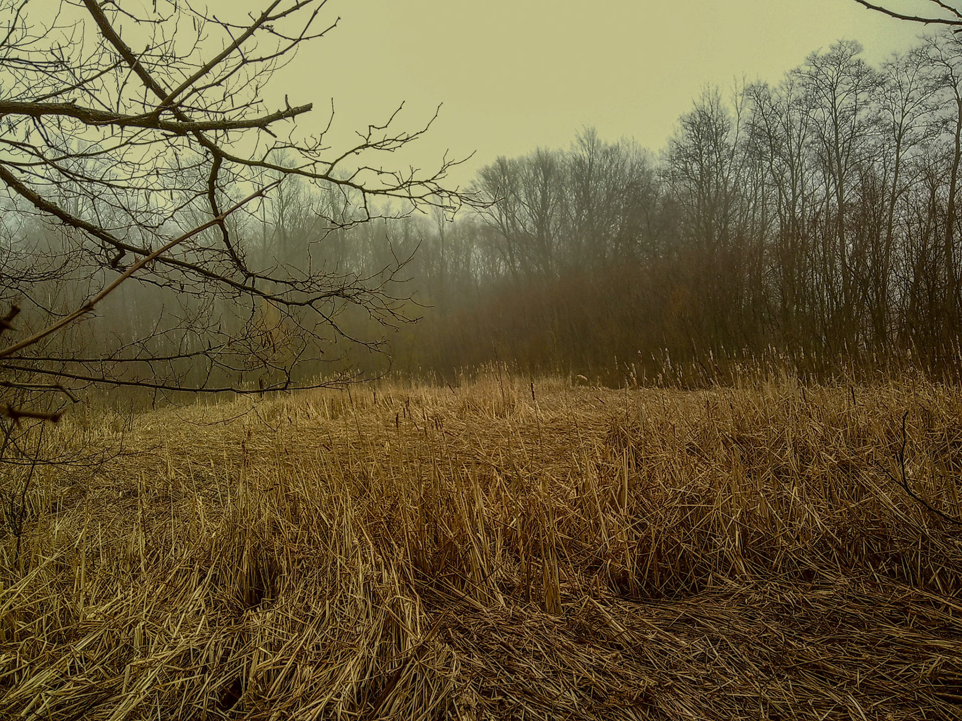 (Photo by Walker Freese)