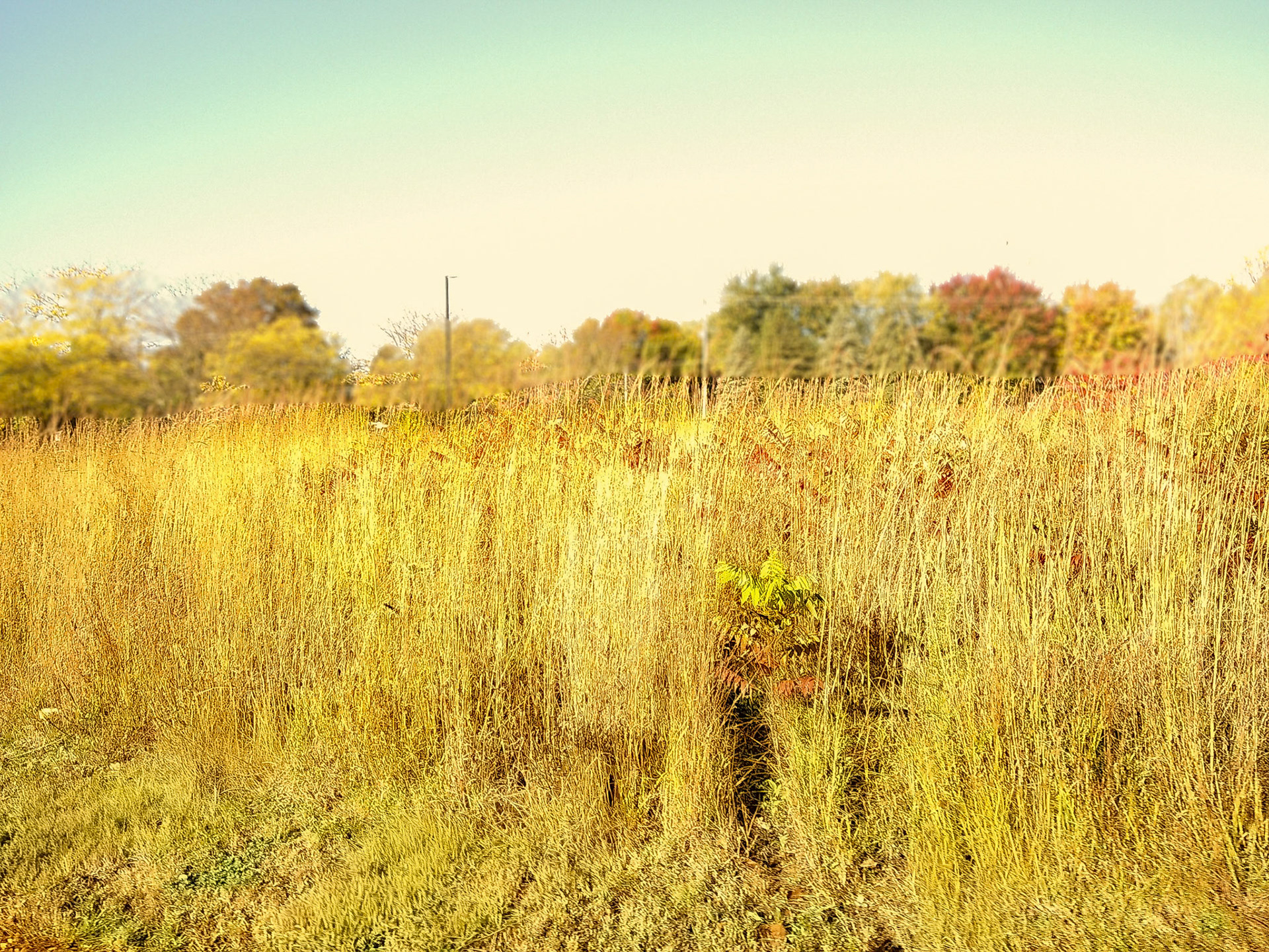 (Photo by Jagger Burnes)