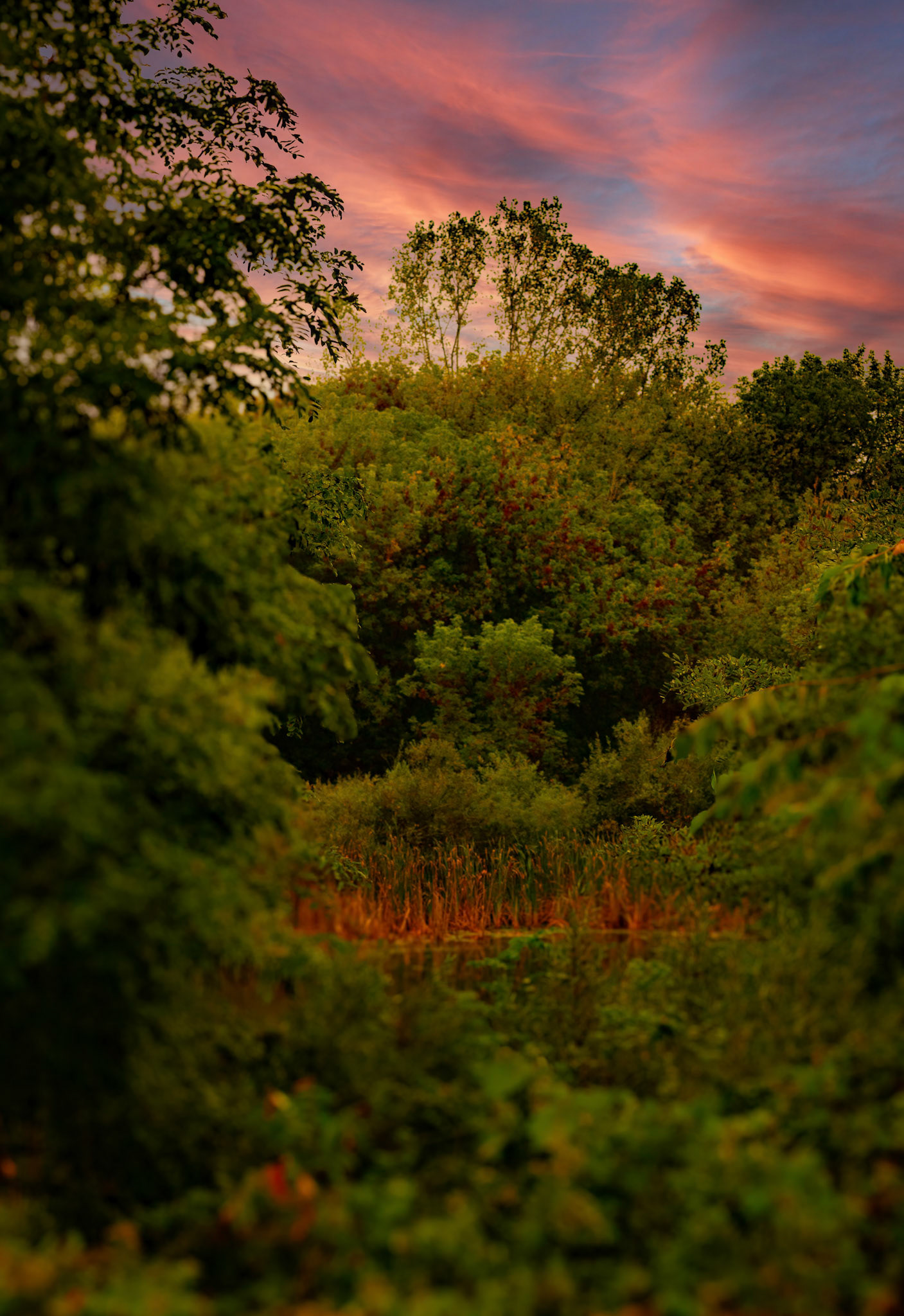 (Photo by Gavin Vanderhoff)