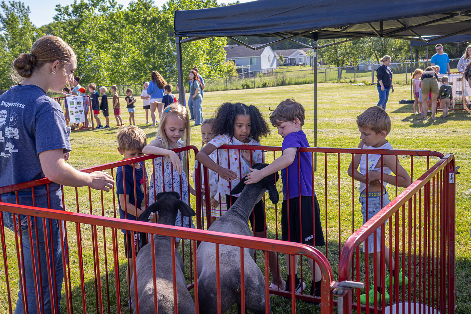 Student at Paris Ridge interact with sheep during a Agri-Cal event. (Photo By Landry Mueller)